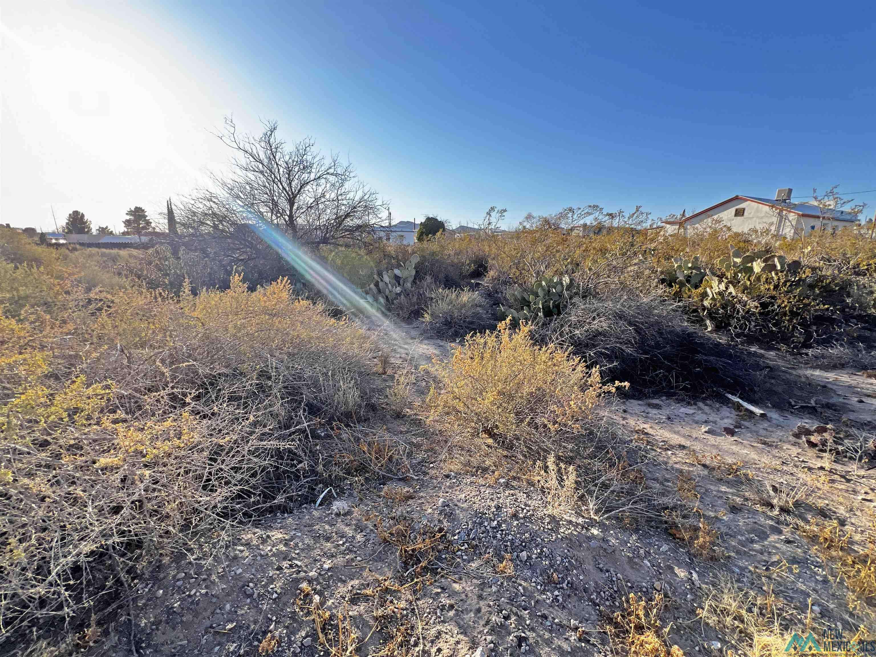 Truth Or Consequences, NM 87901,507 N Maple Street
