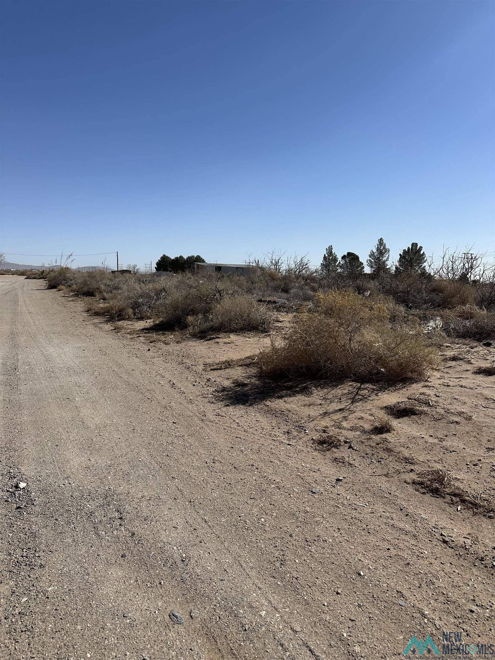 Deming, NM 88030,XXXX Sands RD NW