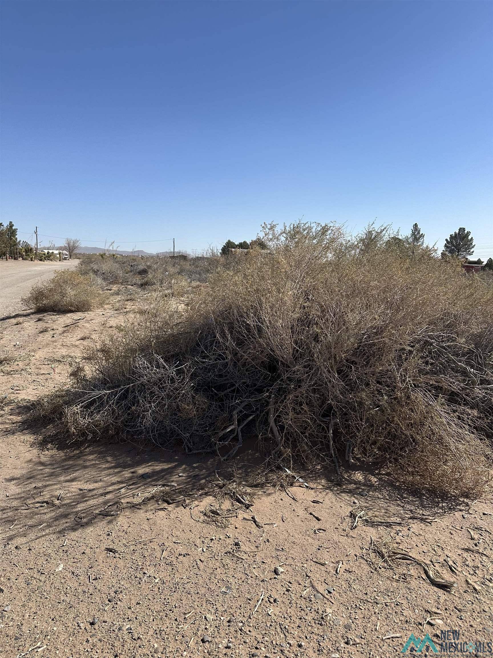 Deming, NM 88030,XXXX Sands RD NW