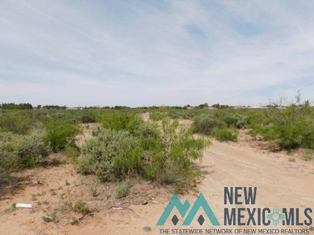 Deming, NM 88030,Tennyson Dr. Lot 4 #Tierra Solana