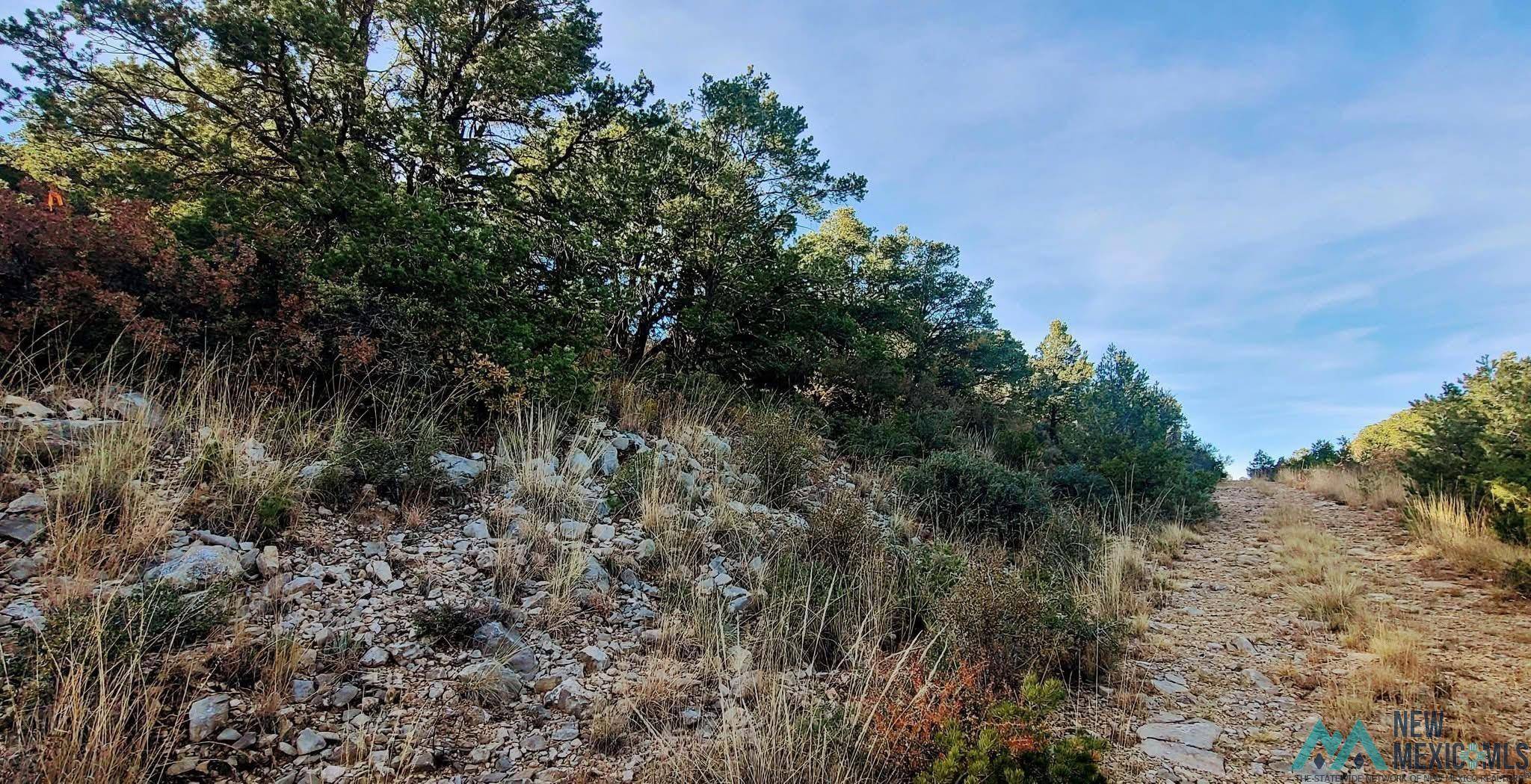 Timberon, NM 88350,Lot 7 Bellwood Court