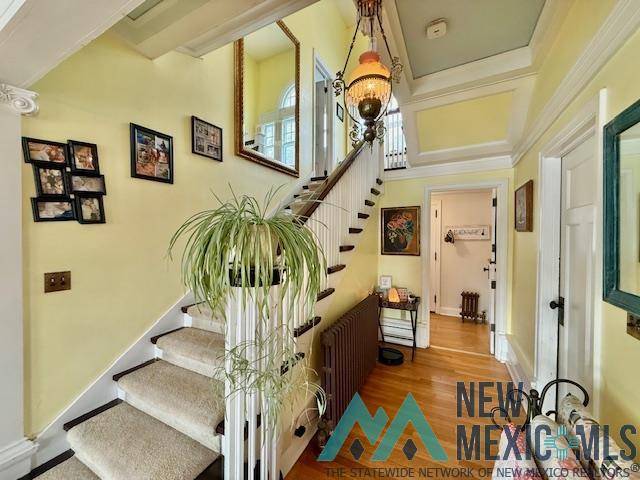 Raton, NM 87740,666 Cook Avenue