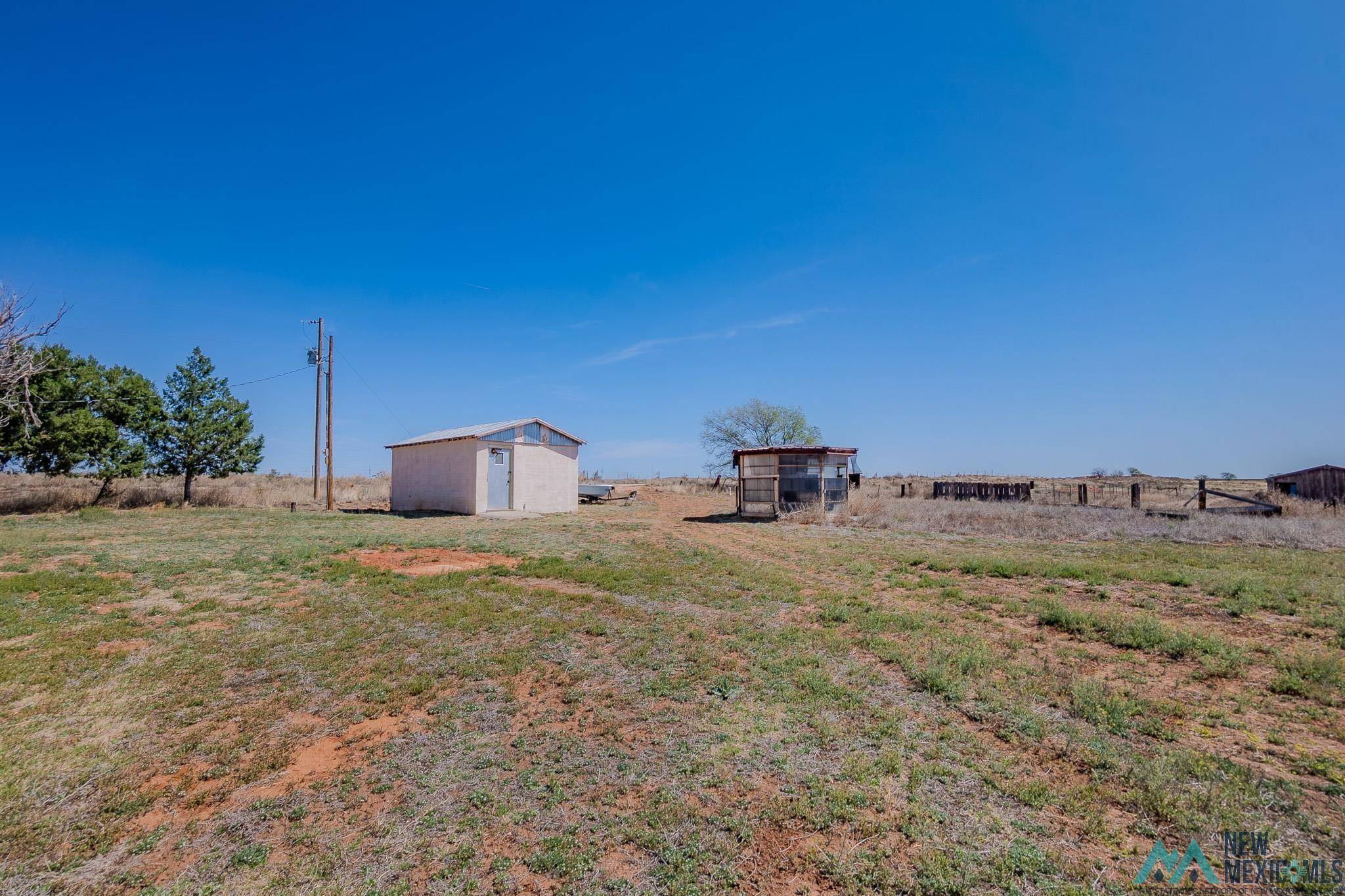Portales, NM 88130,305 S Roosevelt Road O Road