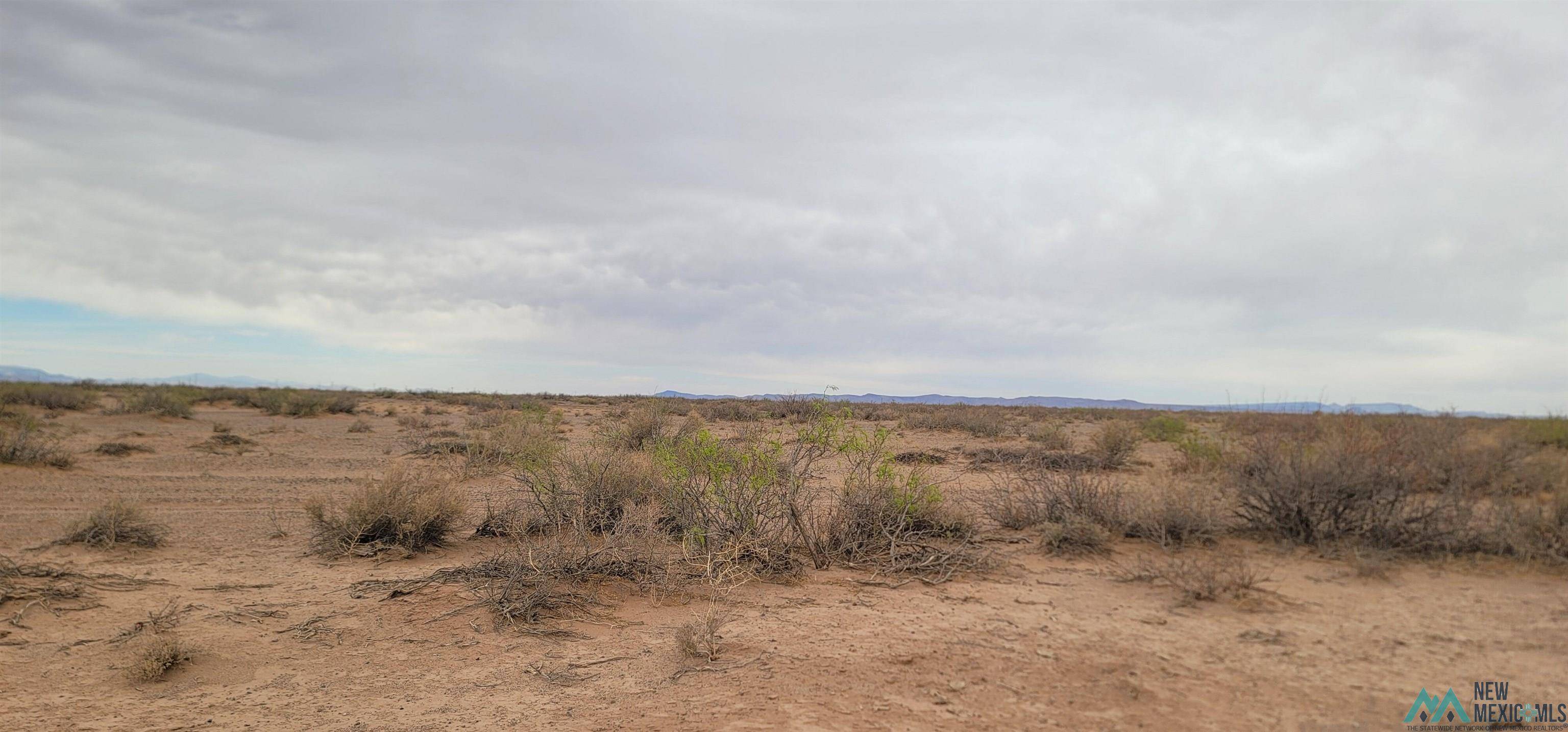 Deming, NM 88030,XXXX SE Acoma Rd Land