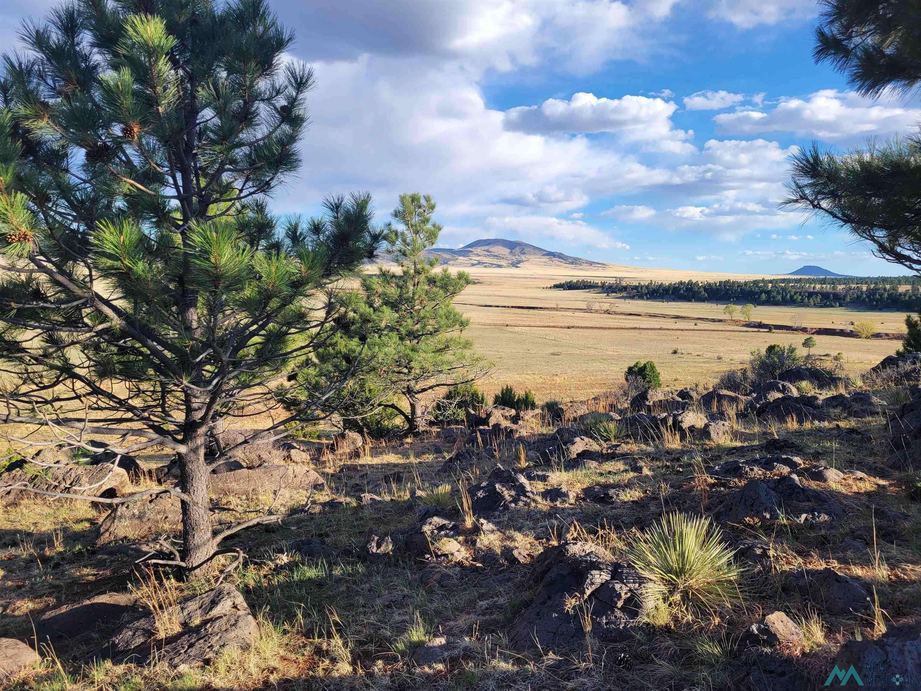 Ocate, NM 87734,TBD State Hwy 120 Highway