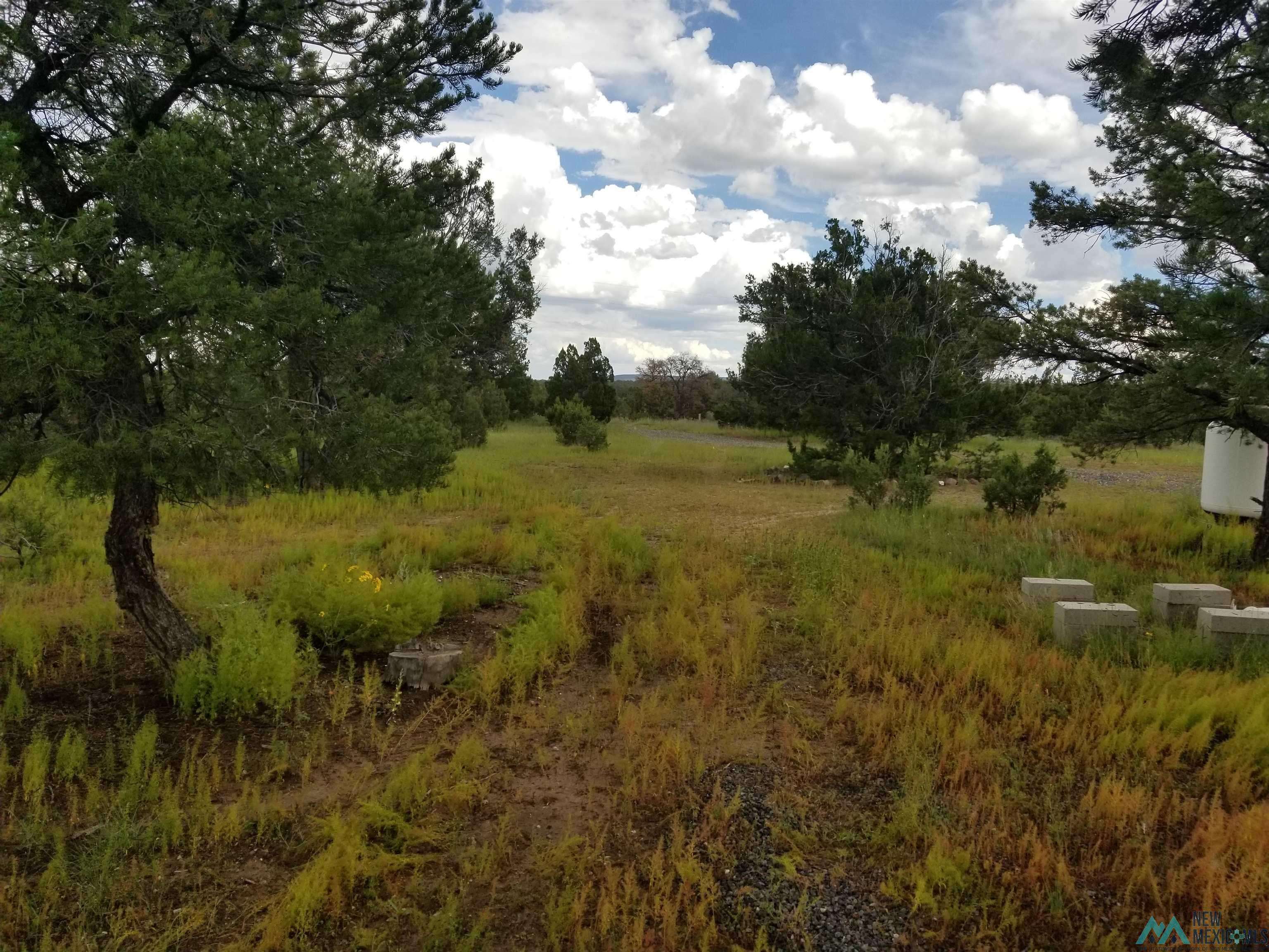 Fence Lake, NM 87315,63 Indian Knolls Road