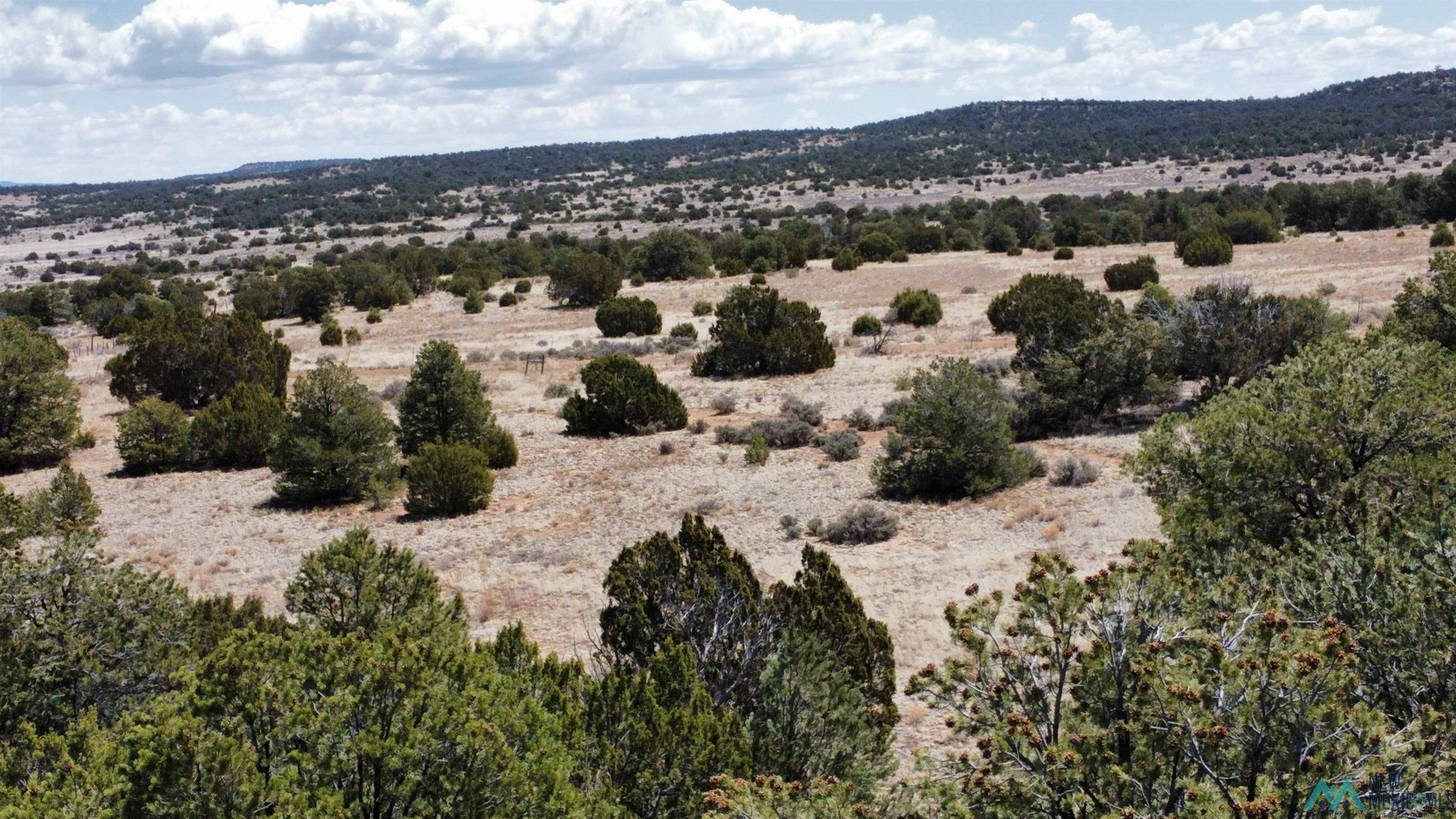Ramah, NM 87321,377 Five Gates Road