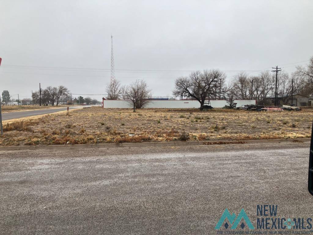 Tatum, NM 88267,105 S Bridges Avenue