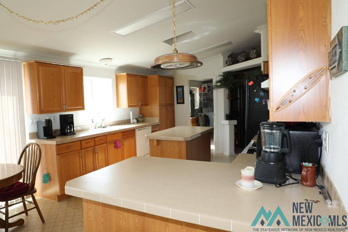 Elephant Butte, NM 87935,516 Pike Road