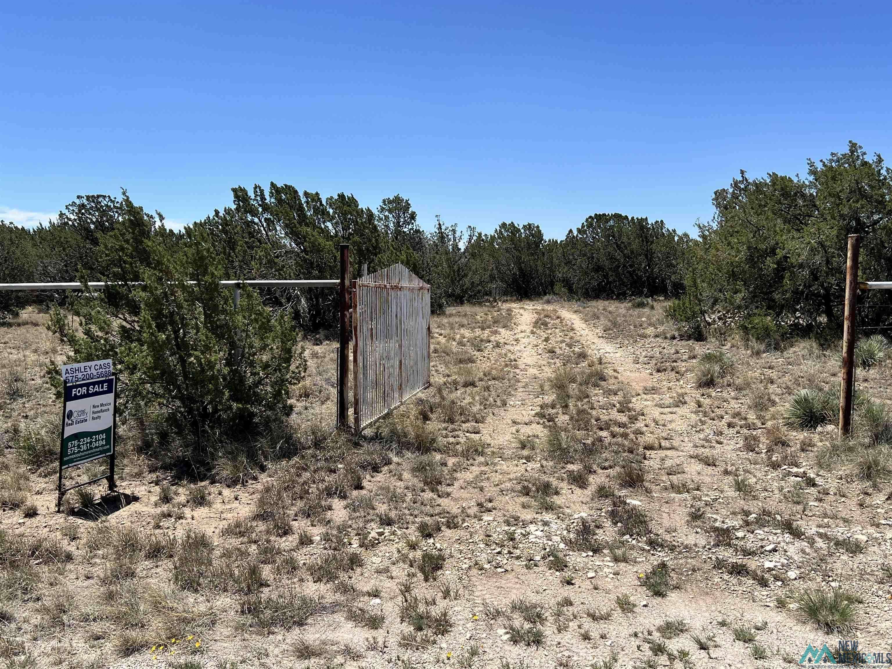 Carlsbad, NM 88220,13 Turkey Canyon