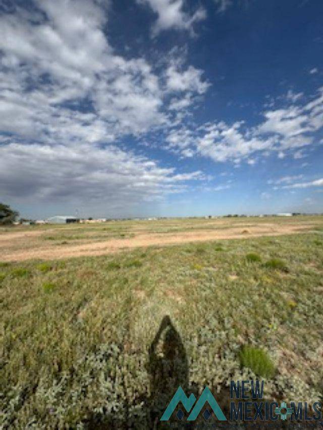 Dexter, NM 88230,00 Michael Rd