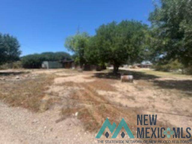 Carlsbad, NM 88220,606 N Second Street