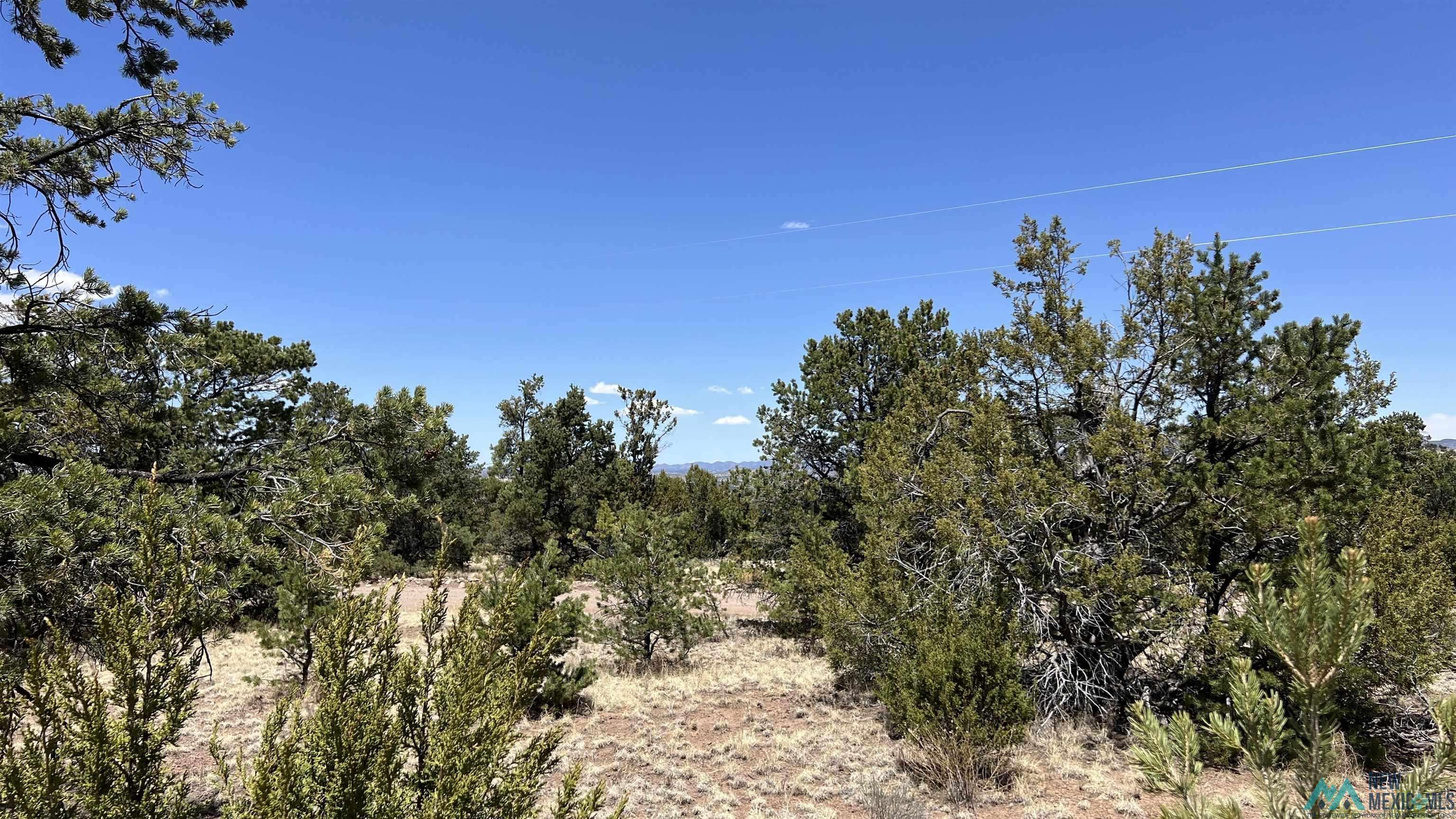 Datil, NM 87821,Lot 66 Wagon Trail Road #Lot 66 Tee Pee Ranch
