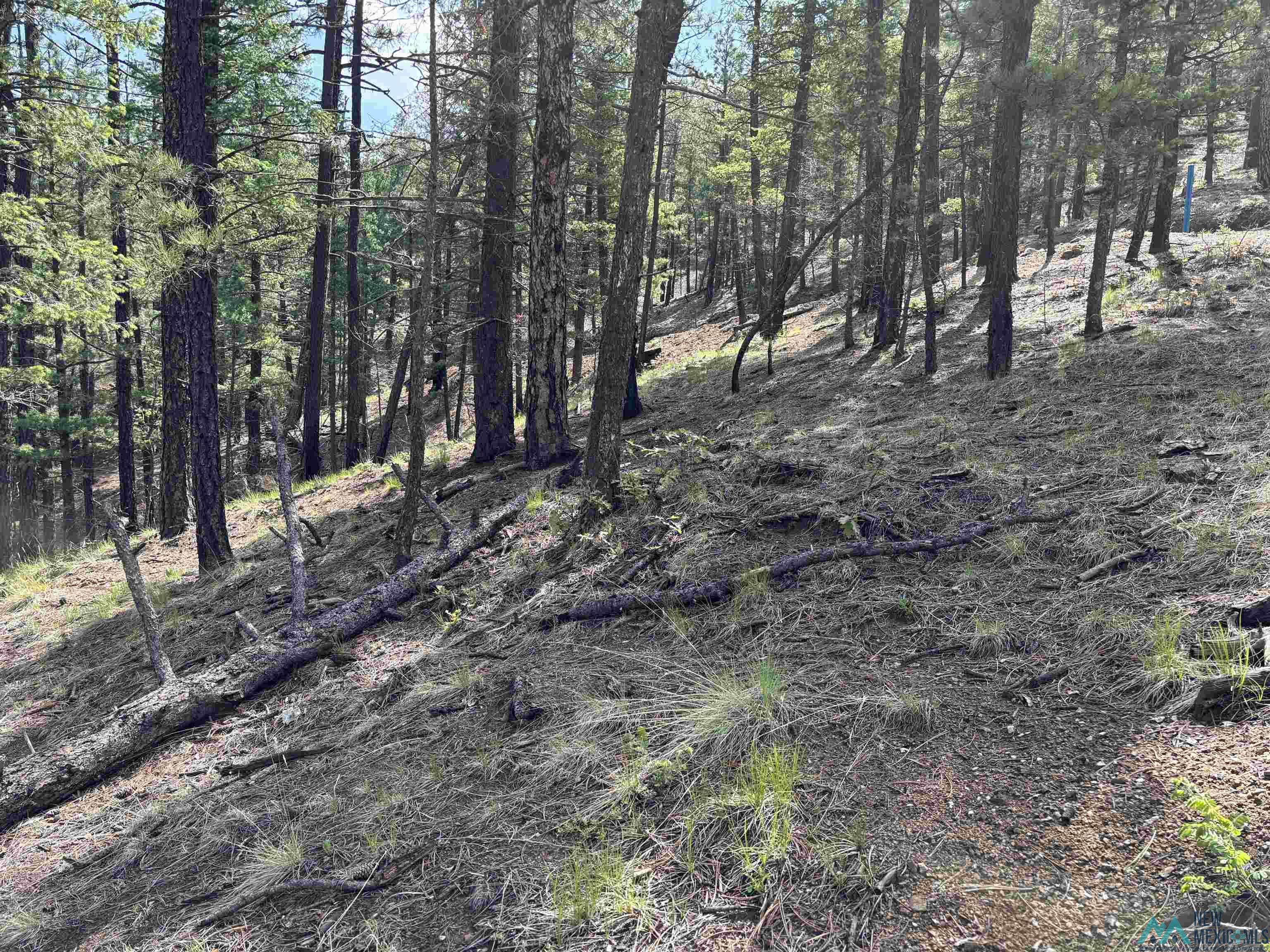 Rociada, NM 87742,Lot 24 Camino Facil Drive