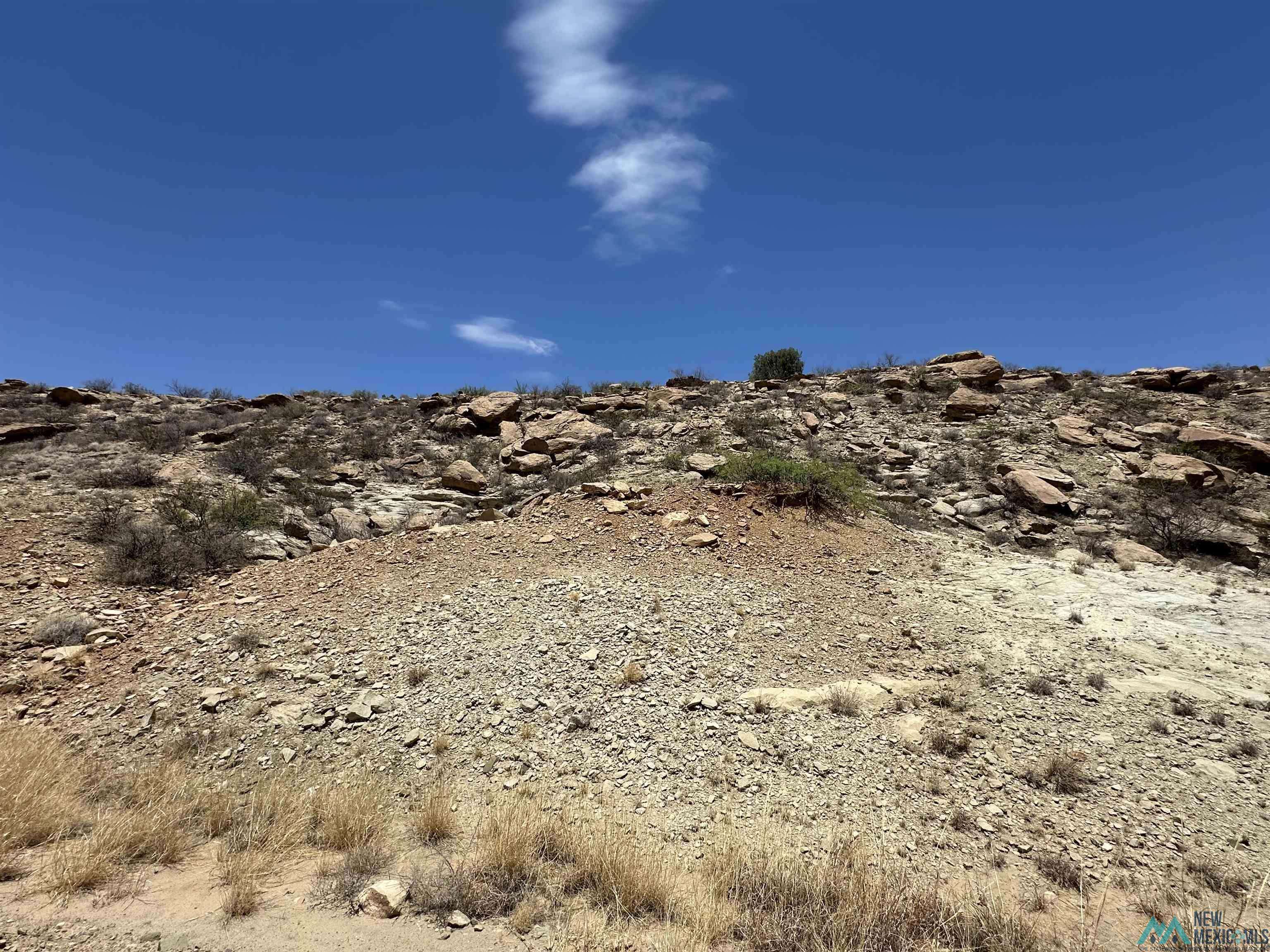 Elephant Butte, NM 87935,Lot 17 Vista Del Lago Land