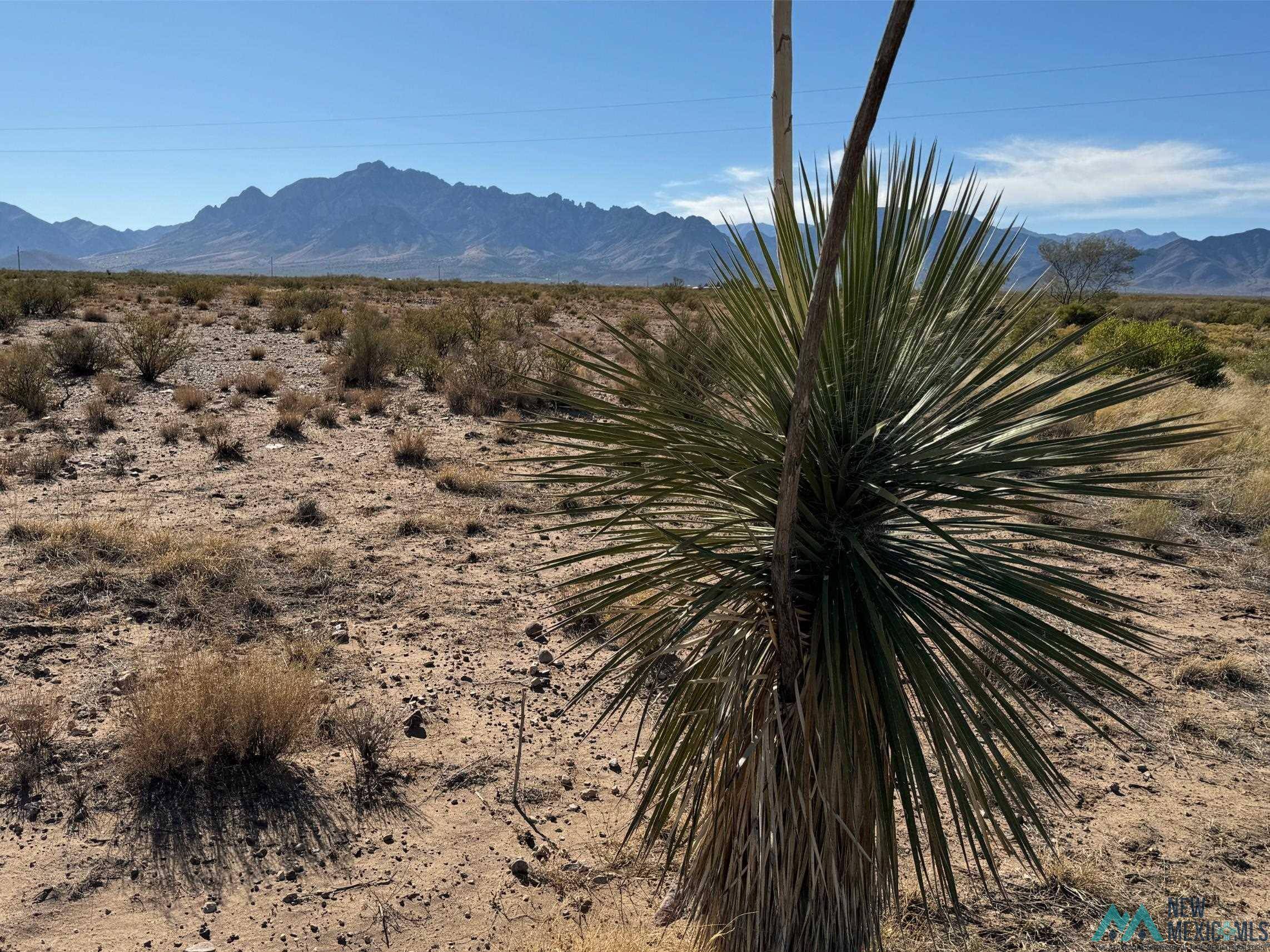 Rodeo, NM 88056,TBD Estrella Parkway Road