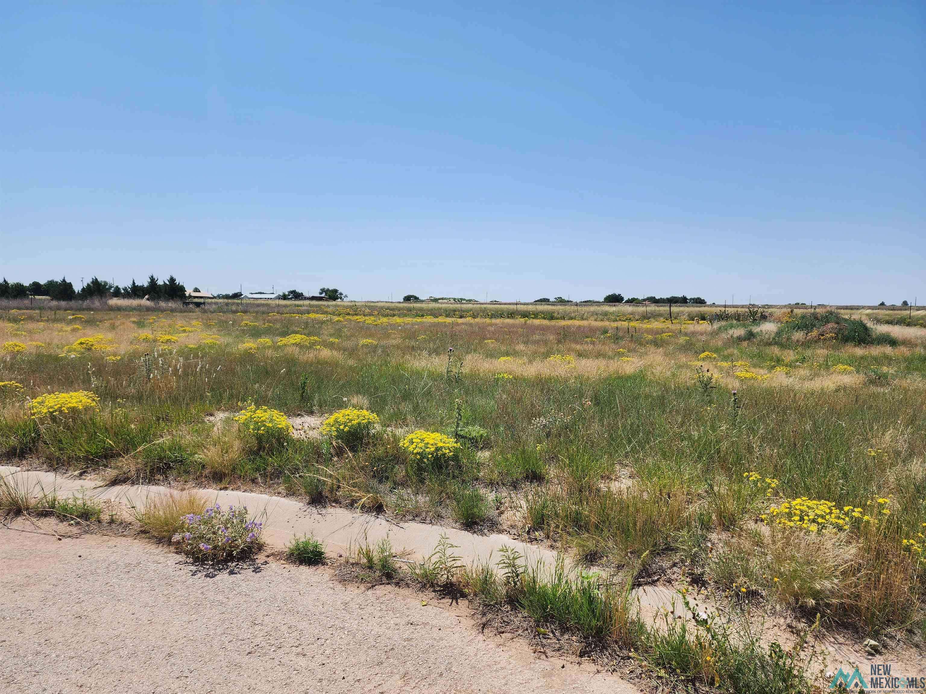 Portales, NM 88130,1821 Quail-Wood Drive