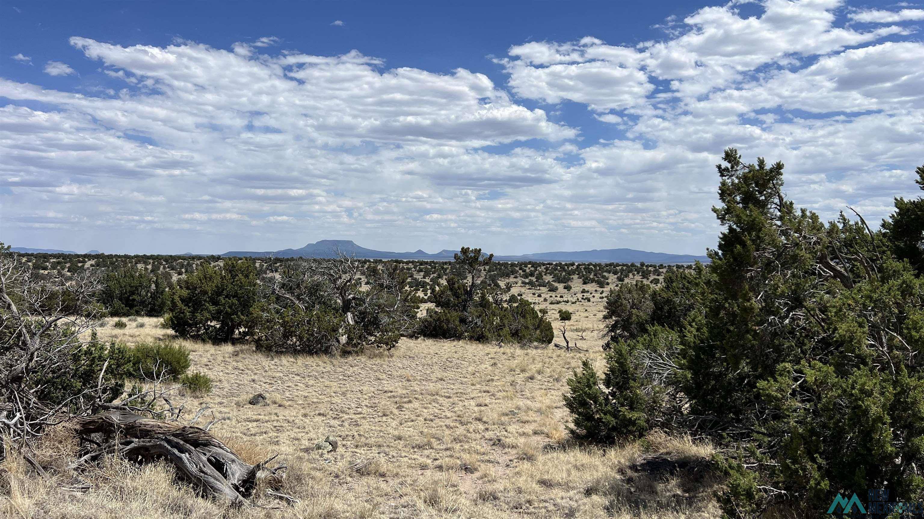 Quemado, NM 87829,Warpath Rd Road #Indian Springs Subdivision