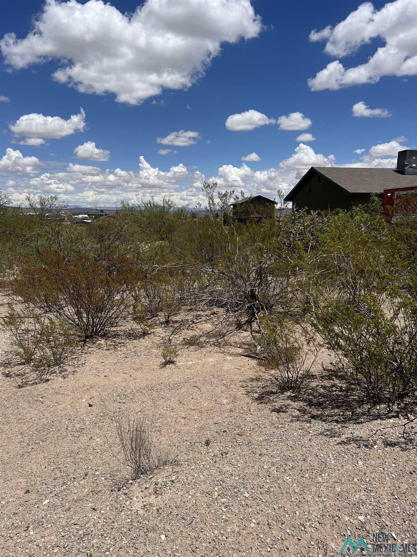 Elephant Butte, NM 87935,213 Mantreal Avenue