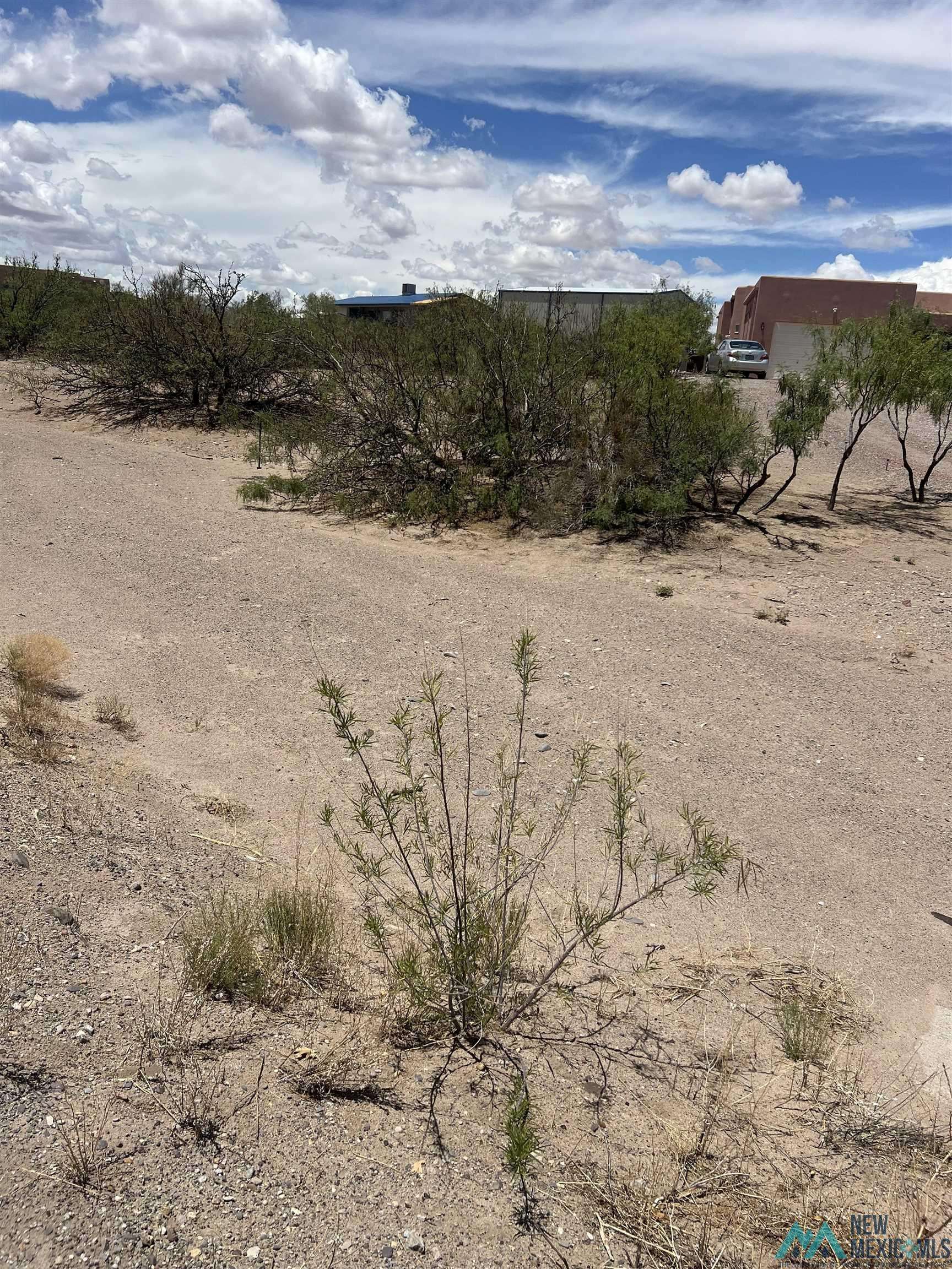 Elephant Butte, NM 87935,206 Ontario Drives
