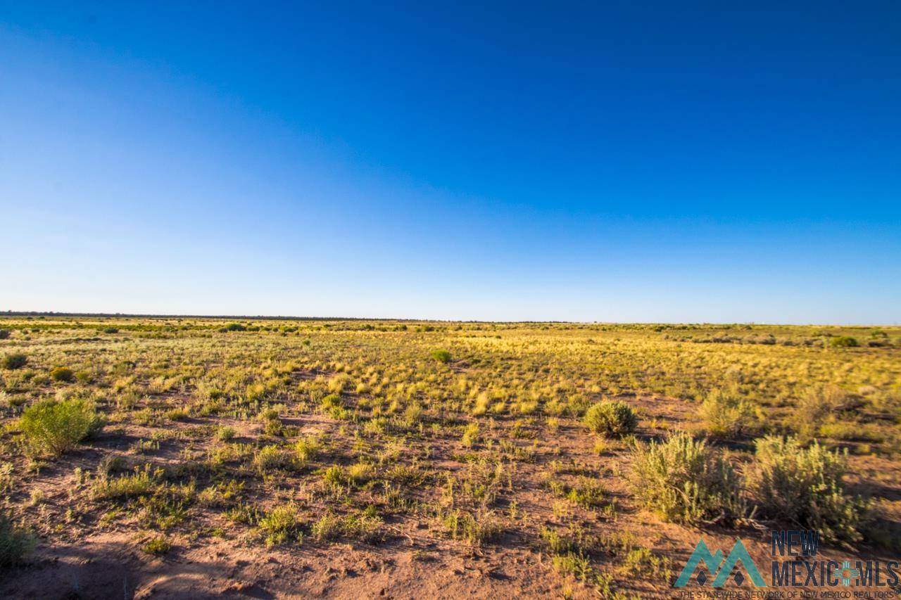 Vanderwagen, NM 87326,Jones Ranch Lot 17 Road