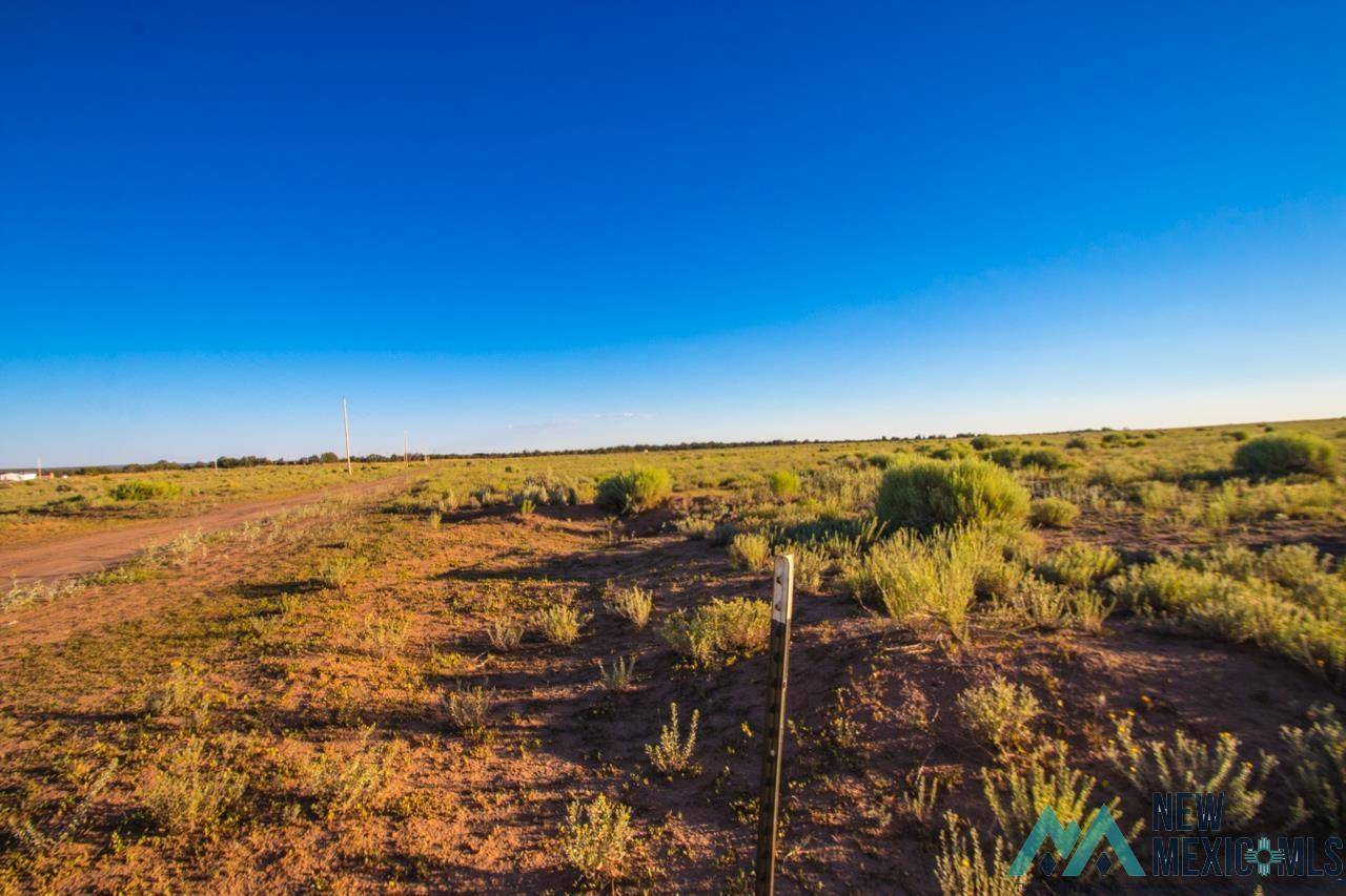 Vanderwagen, NM 87326,Jones Ranch Lot 17 Road