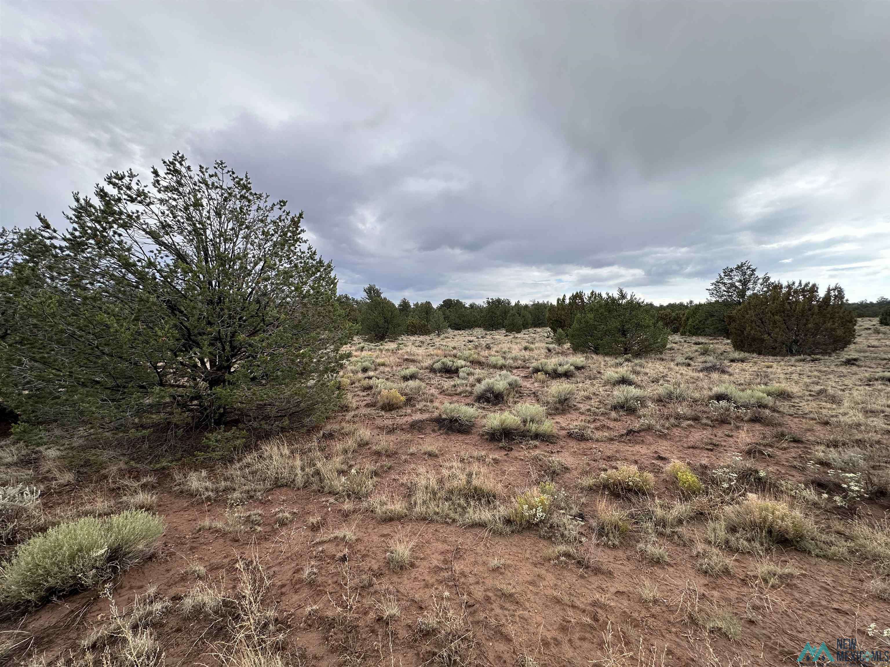 Bluewater Lake - South, NM 87323,TBD NM Highway 612 Highway
