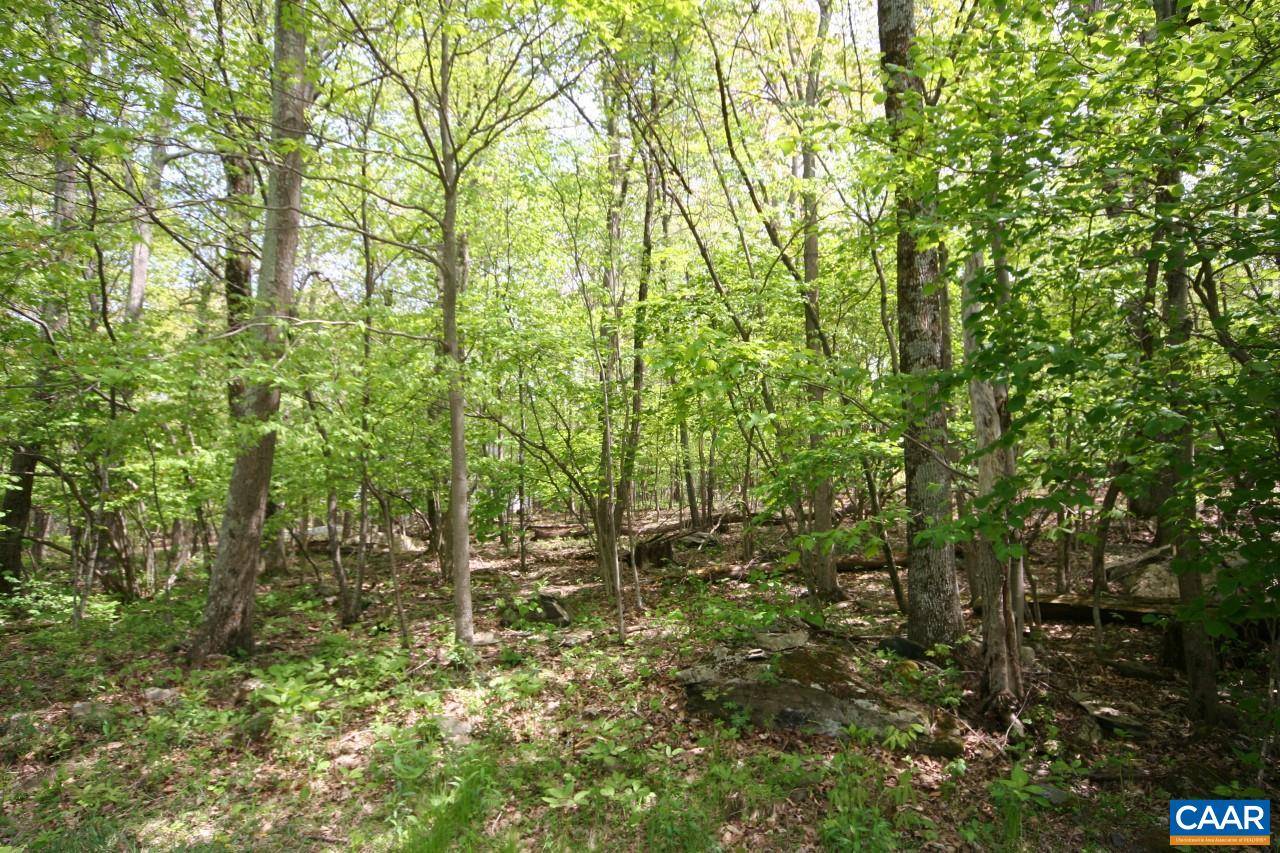 Roseland, VA 22958,1247 BLUE RIDGE DR #Lot 41