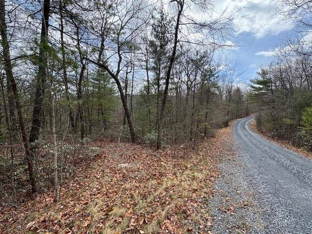 Hinton, VA 22831,Lot 45 FETTERBUSH LN #45