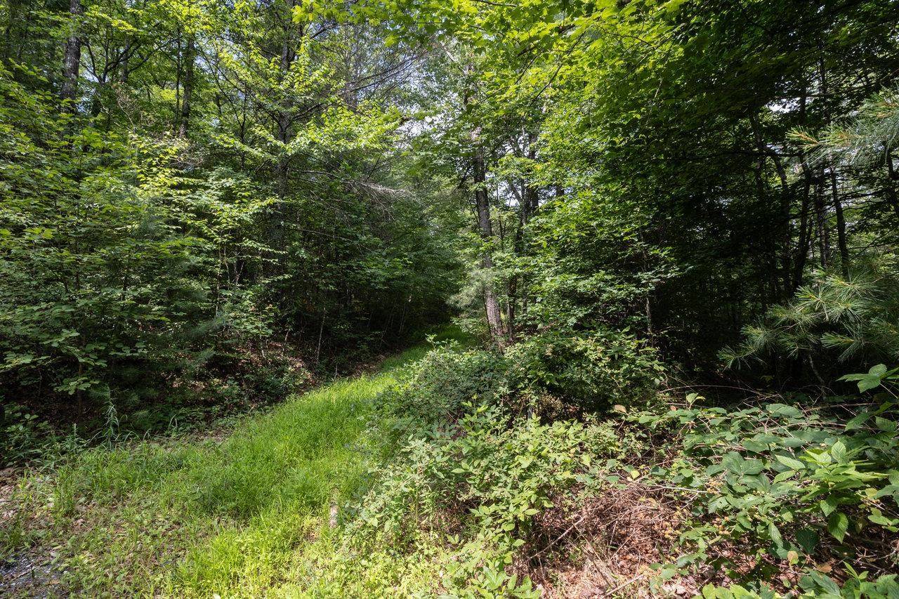 Hinton, VA 22831,OLD RESORT LN #Lot 6