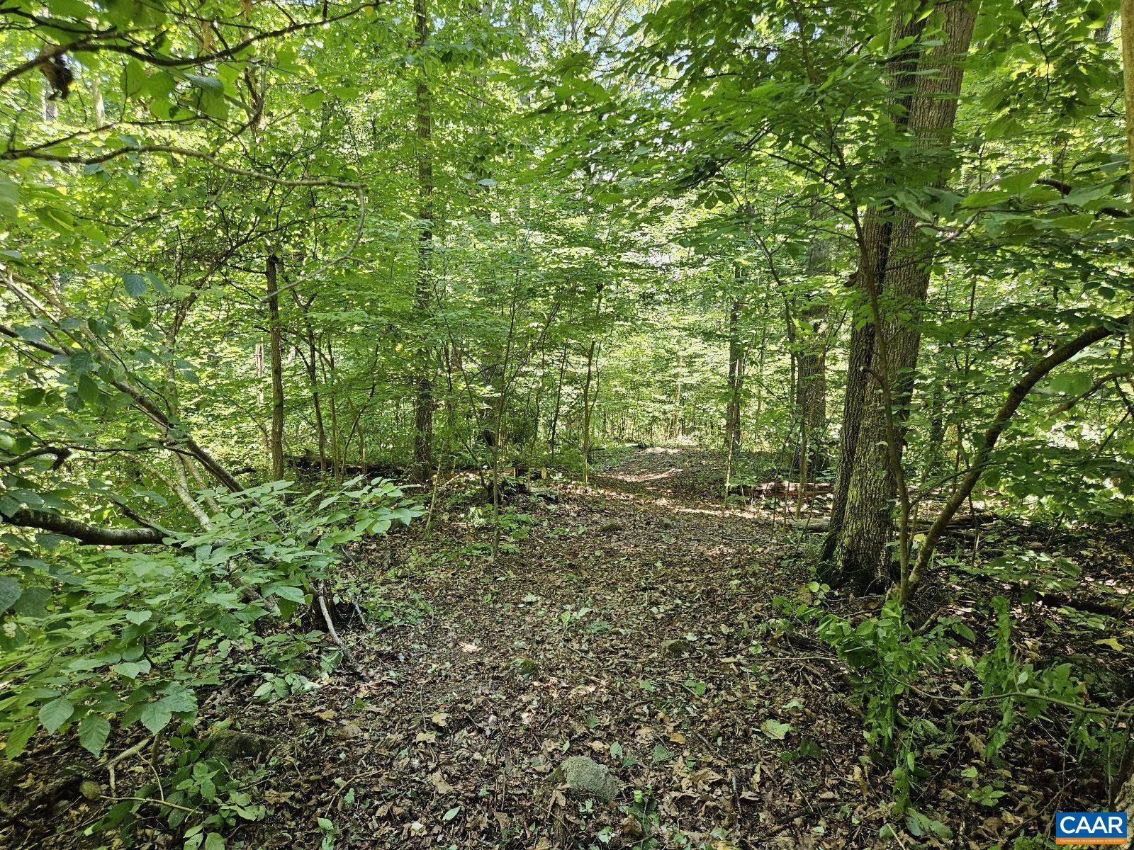 Stanardsville, VA 22973,TBD Lot 18 FARMVIEW RD #18