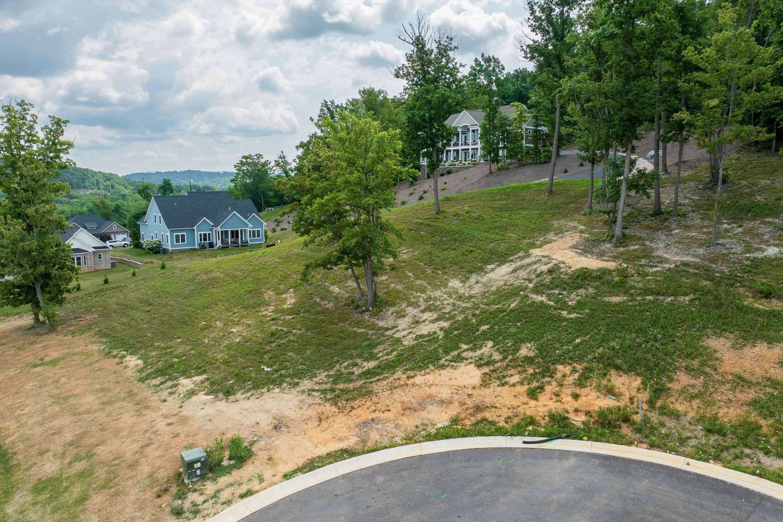 Fishersville, VA 22939,Lot 29 BIRCH COVE