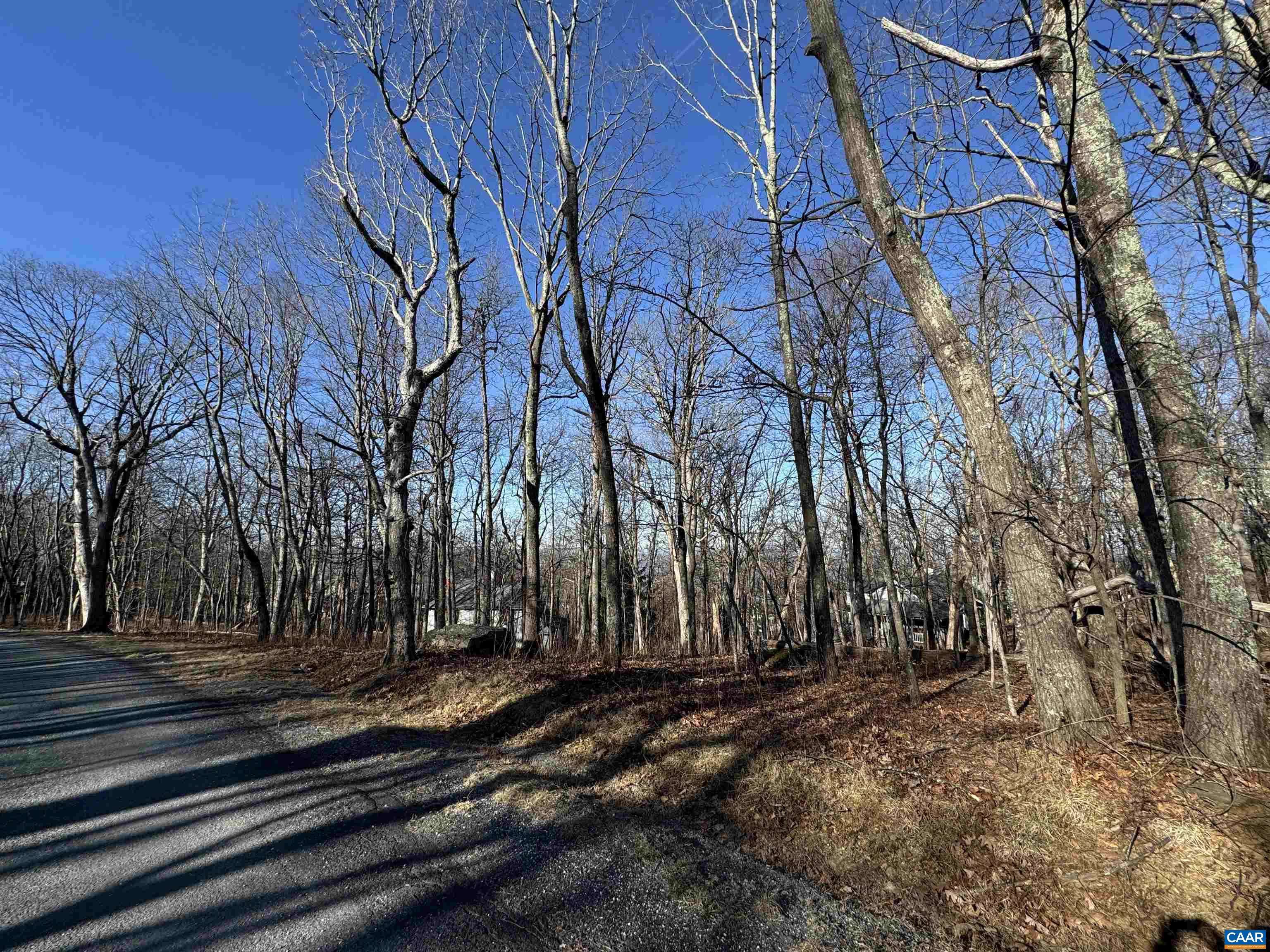 Roseland, VA 22967,72 HICKORY SPRING RD #Pryors Camp Lot 41