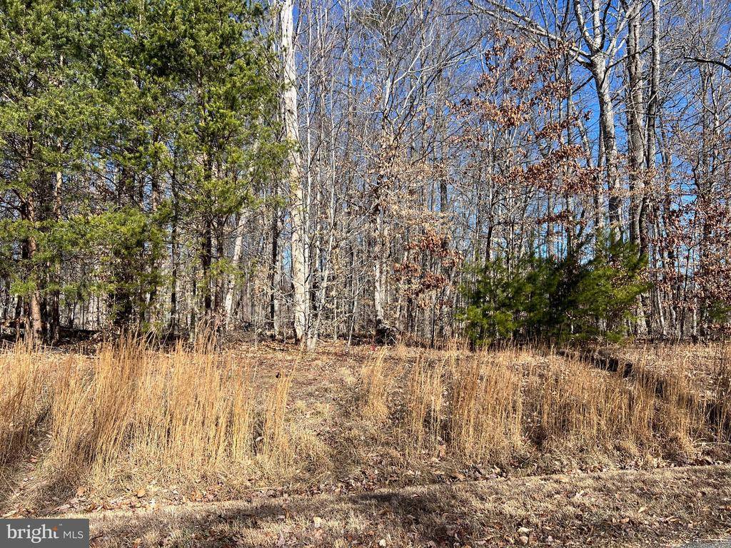 Bumpass, VA 23024,LOT 6 PROMISE LANE