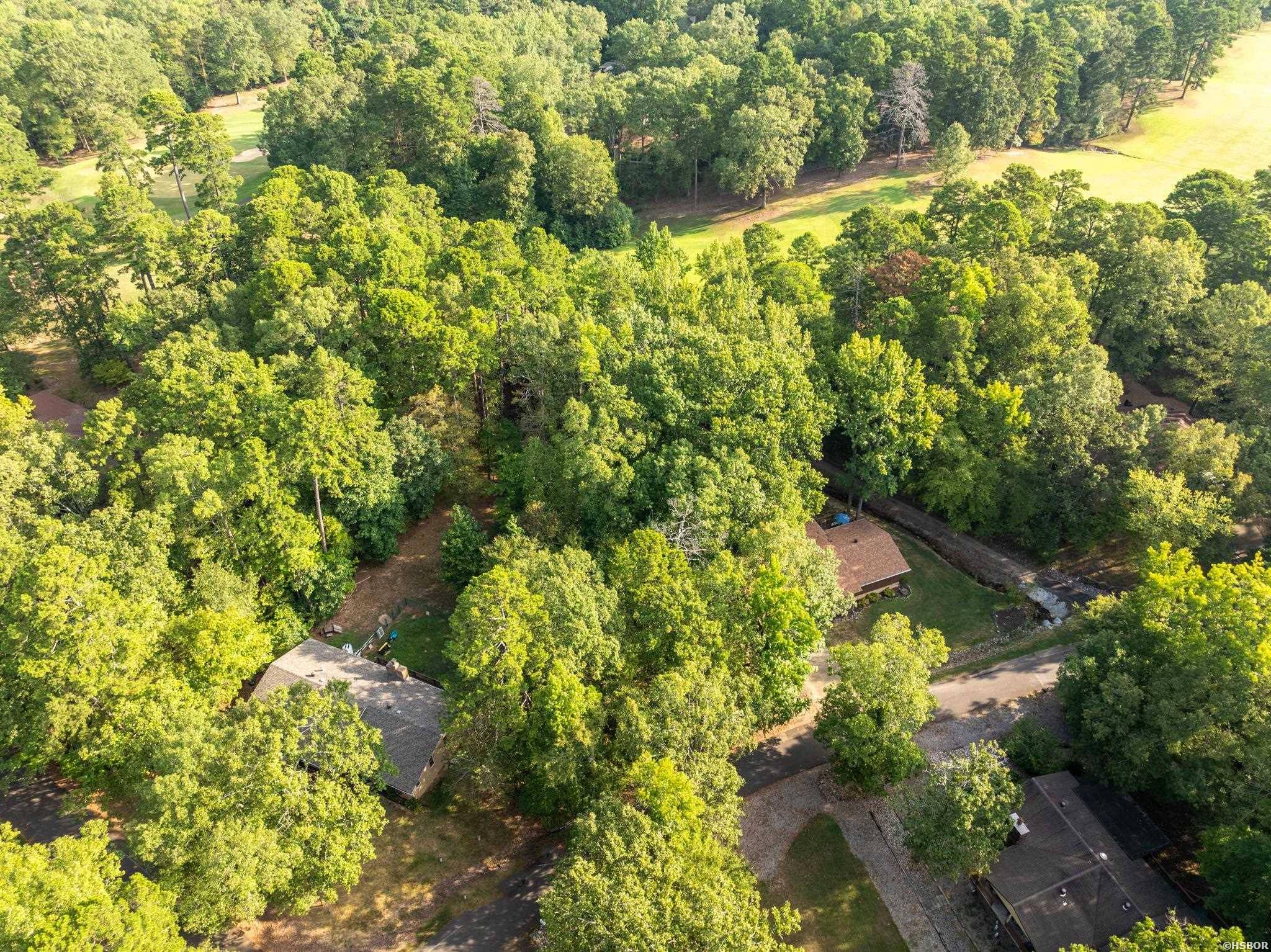 Hot Springs Village, AR 71909,X CASTILLO Lane