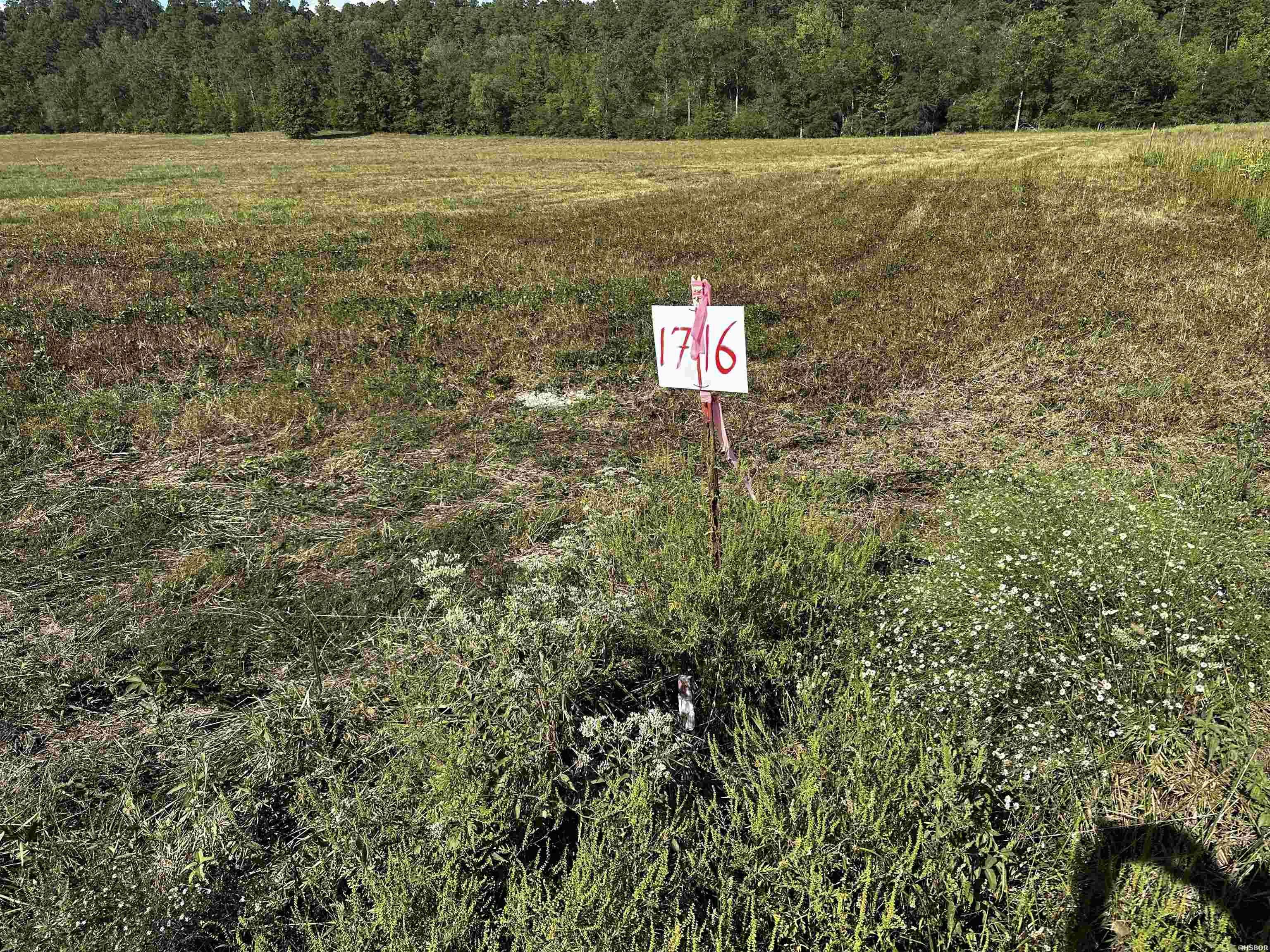 Story, AR 71970,202 REVA'S Road #LOT 17