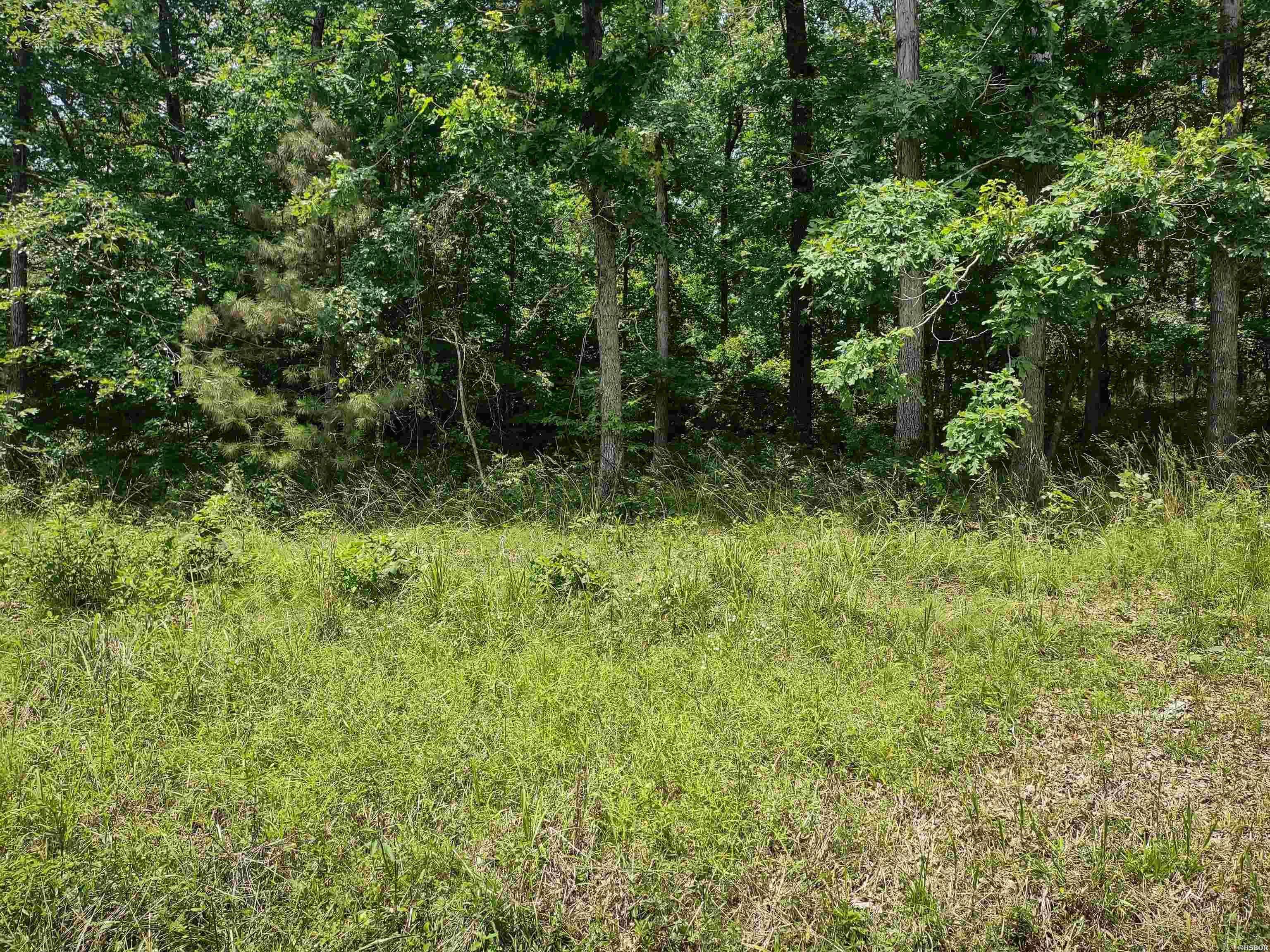Hot Springs Village, AR 71909-0000,Lot 6 MONOVAR Circle