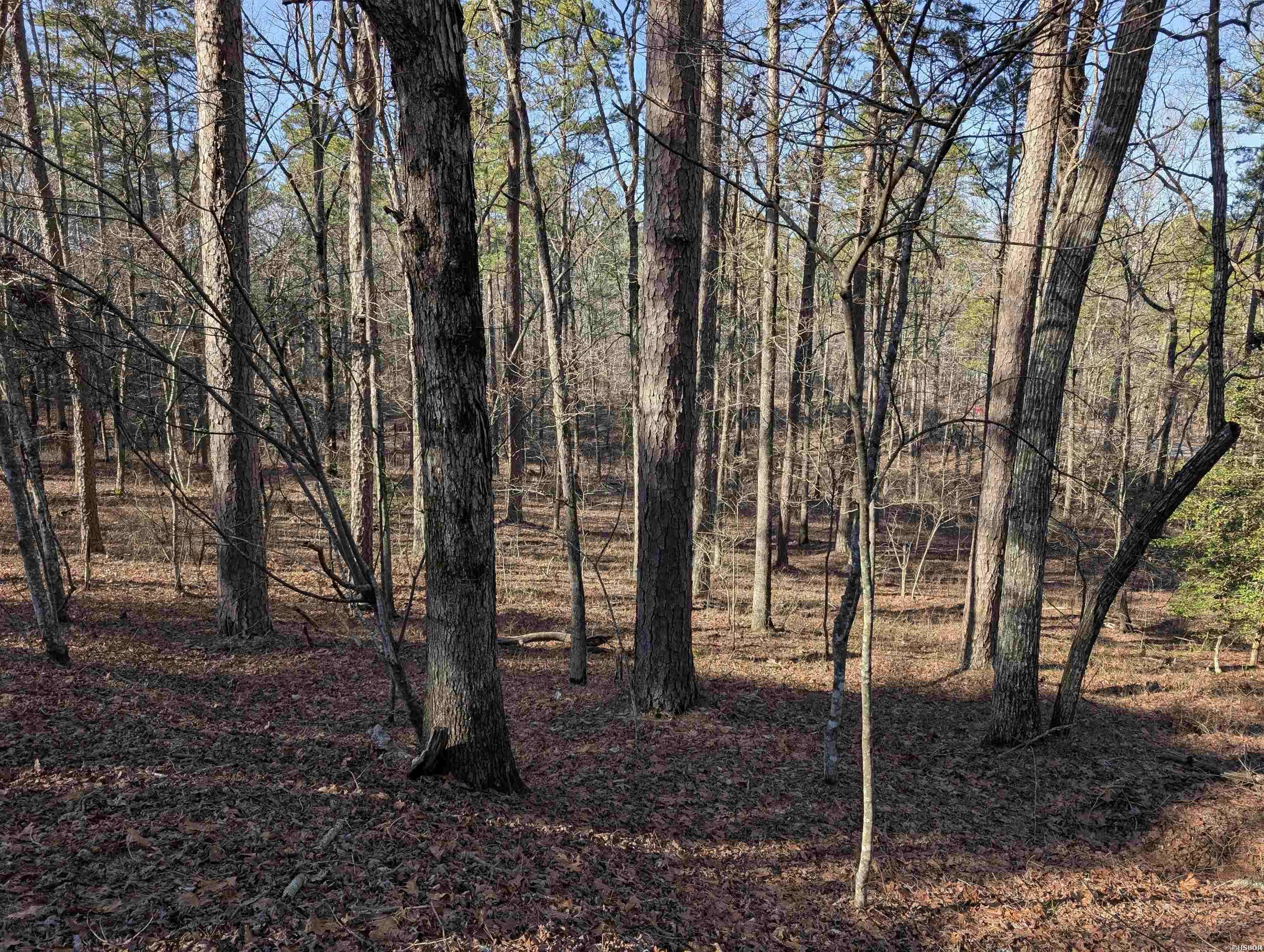 Hot Springs Village, AR 71909,30 MONTIJO Way