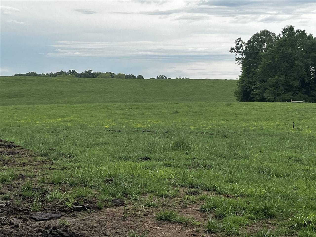 Lewisburg, KY,0 Union Grove Road