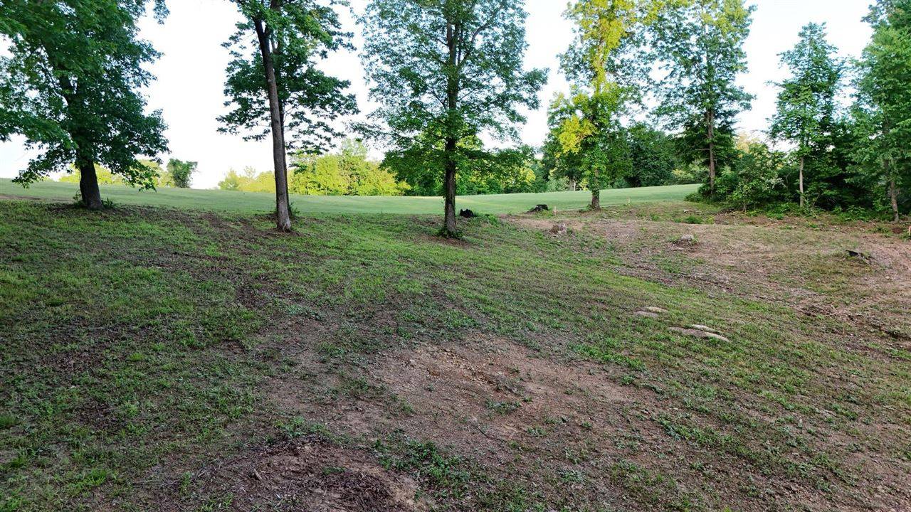 Morgantown, KY,Lots 12 & 13 Hidden Valley Drive