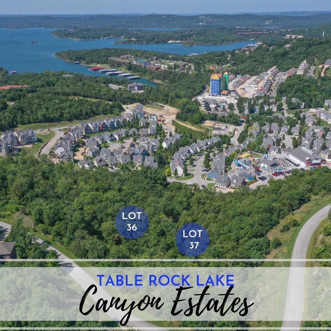 Branson, MO 65616,Lot 36 Canyon Estates