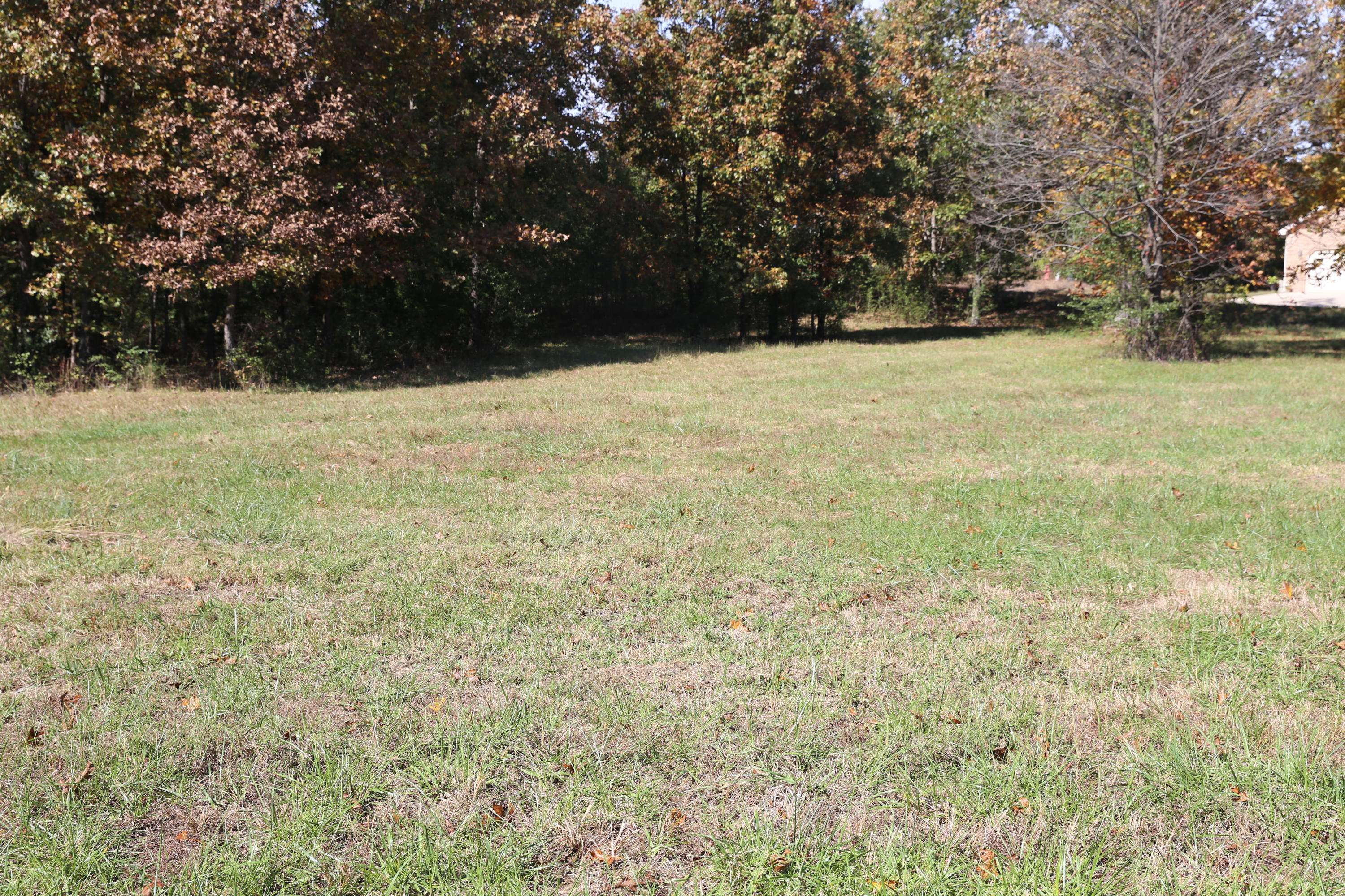 West Plains, MO 65775,000 Wild Turkey Road #Block 1 Lot 10