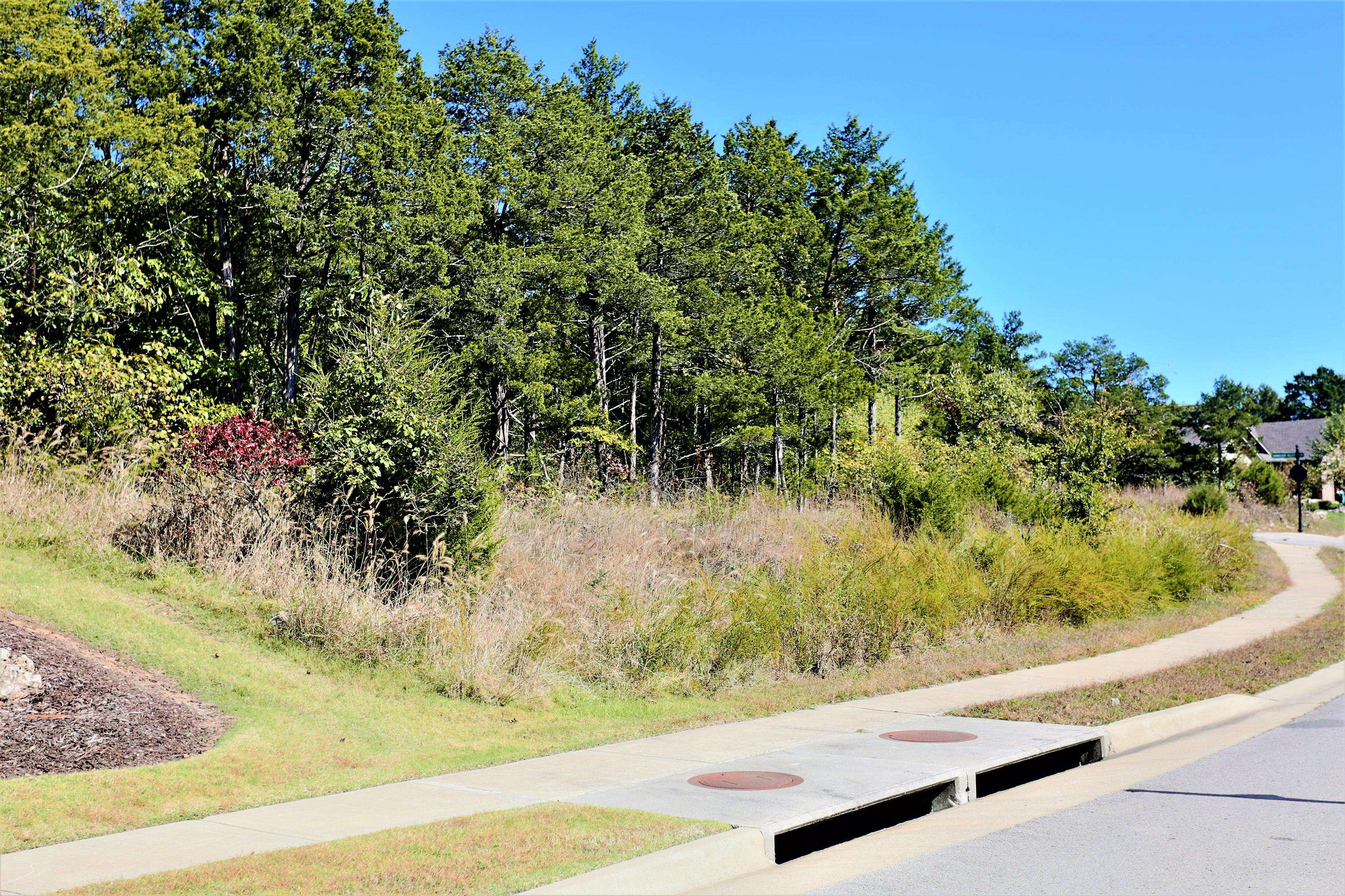 Branson, MO 65616,Lot 54 Bayhill Court