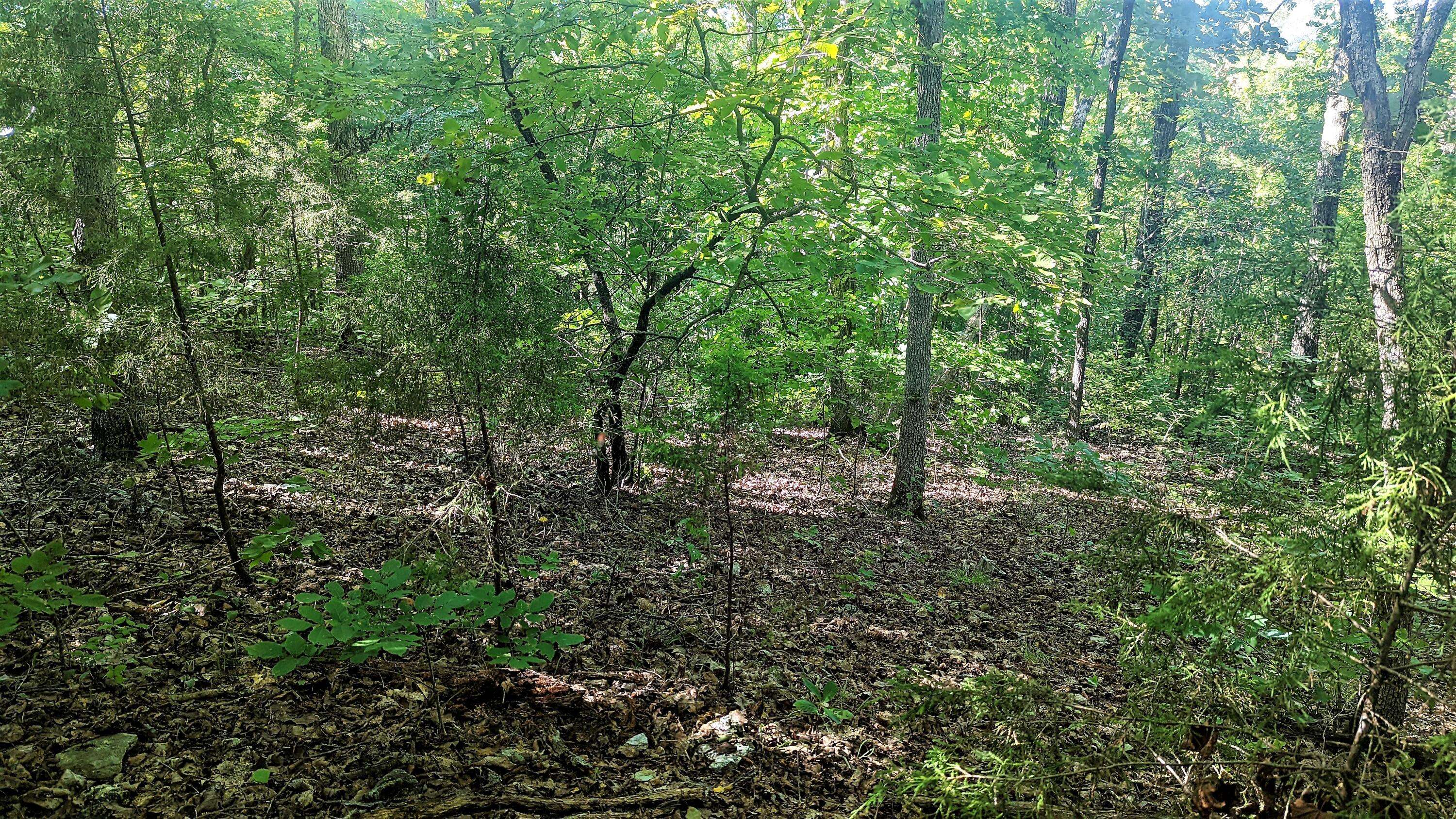 Branson West, MO 65737,Lot 5 Silvercliff Way