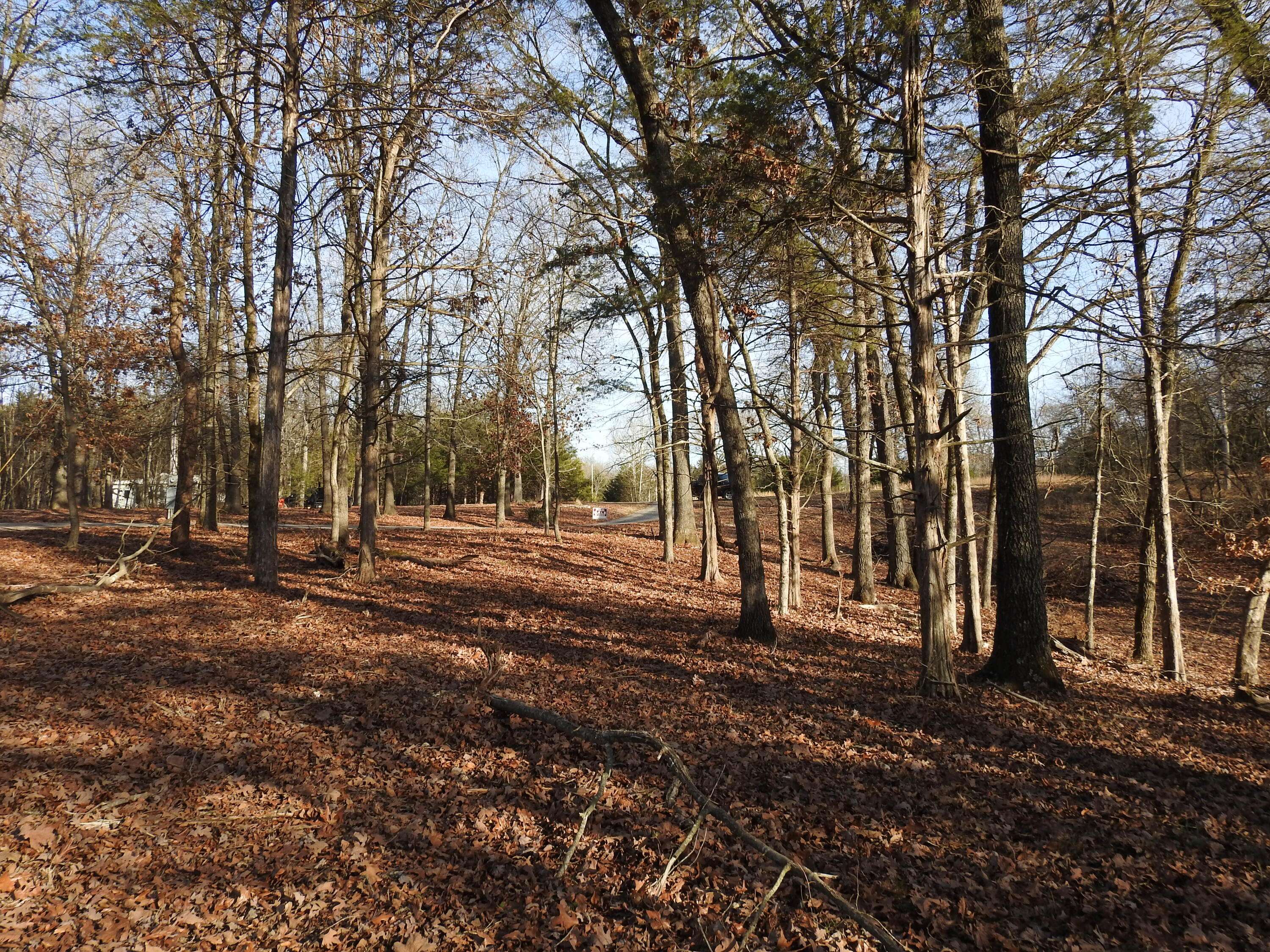 Eagle Rock, MO 65641,Lot 10 Private Road 1190