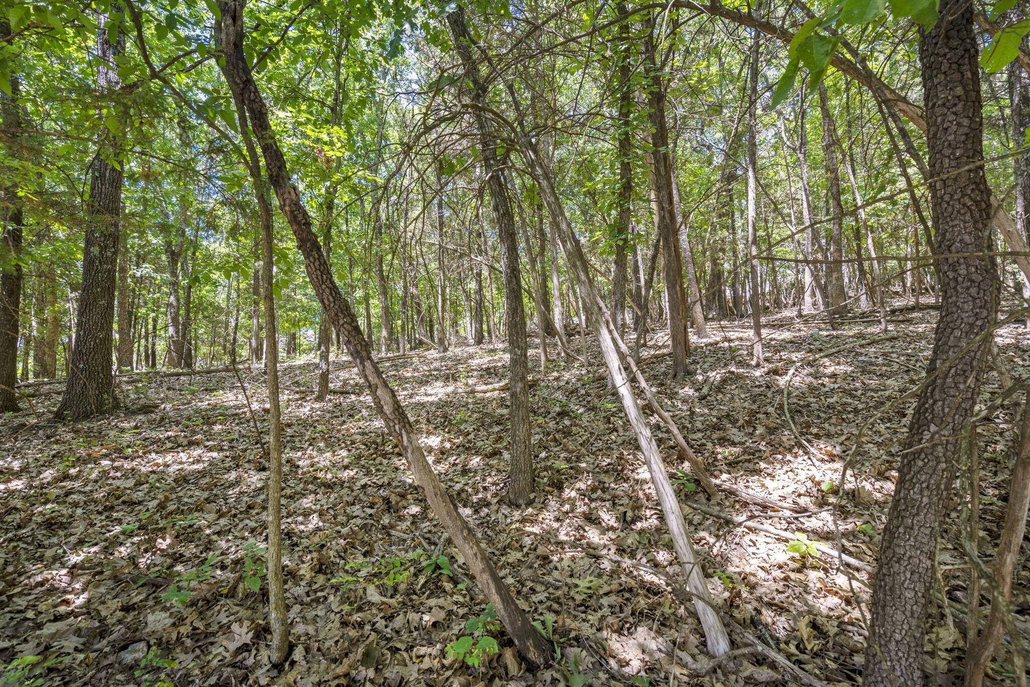 Kimberling City, MO 65686,Lot 3 Longview Drive