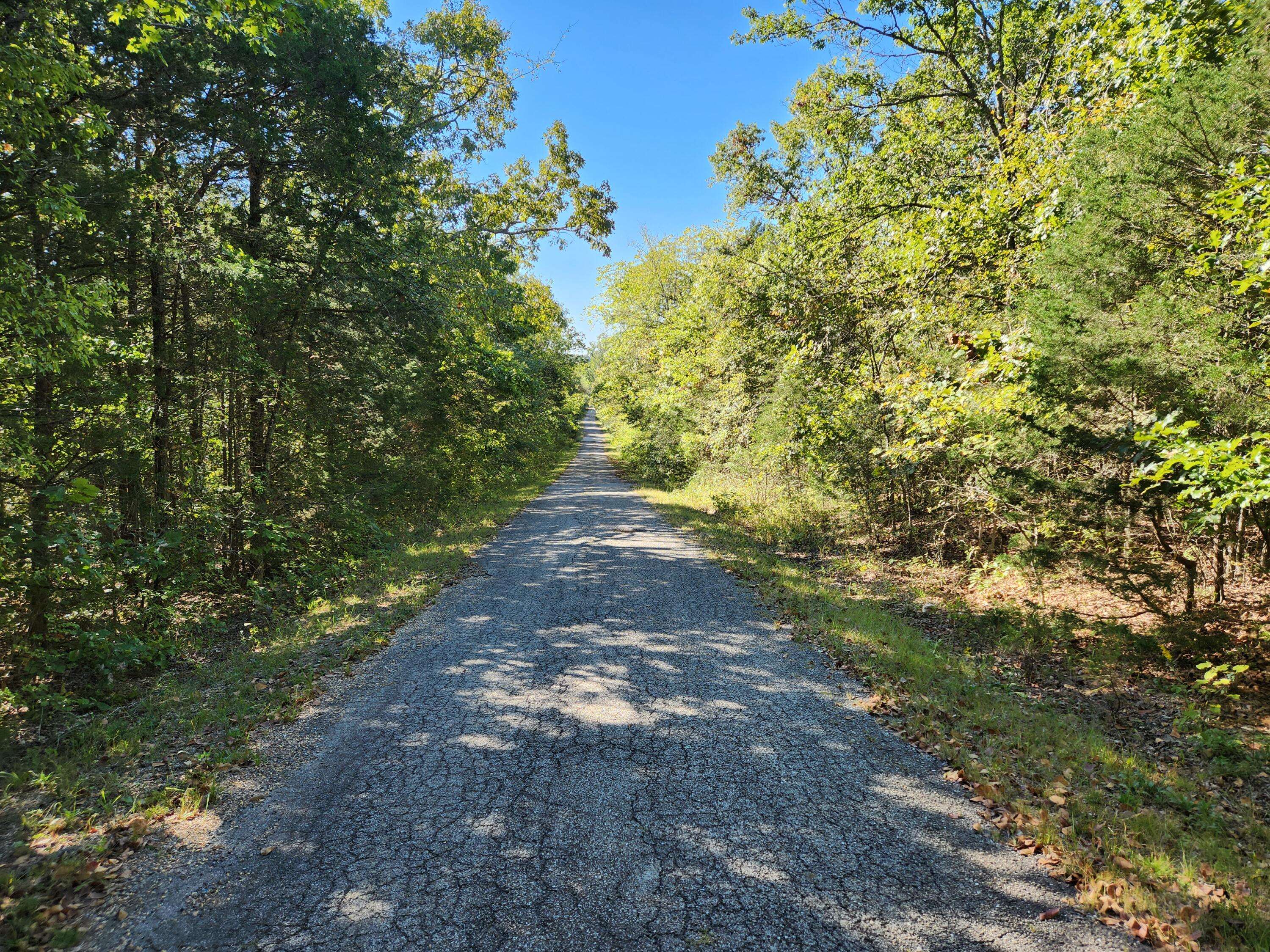 Shell Knob, MO 65747,Lot 68 North Millwood