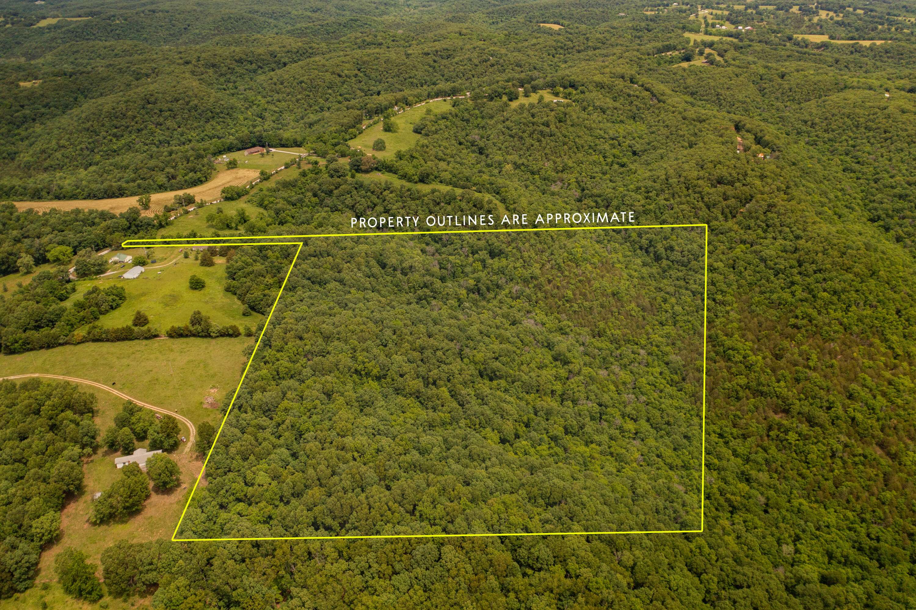 Ozark, MO 65721,Tbd-1 Logan Ridge Road