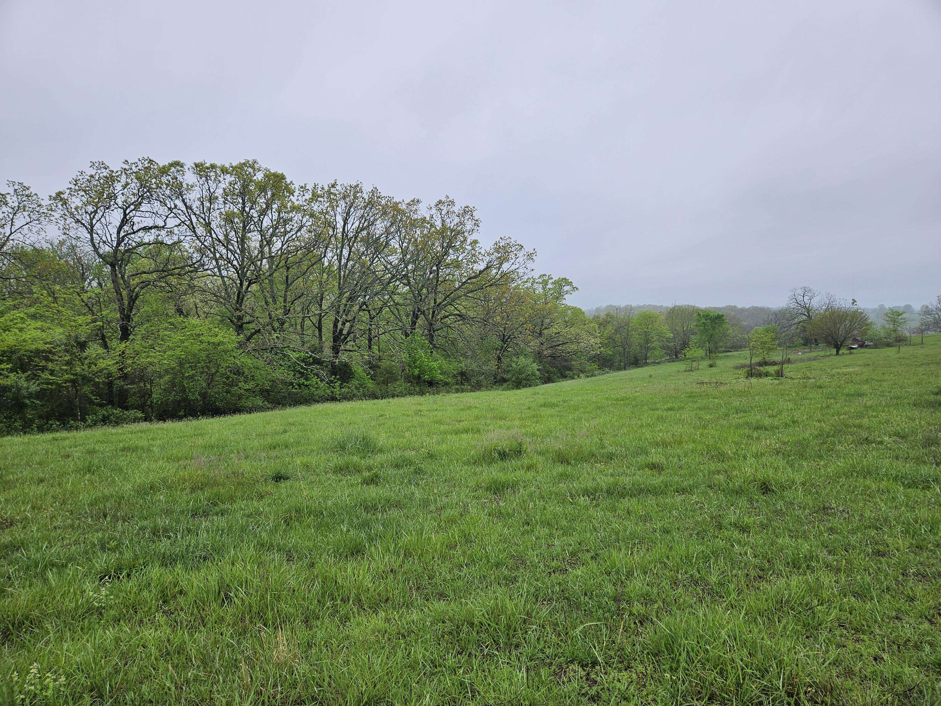 Mansfield, MO 65704,000 Old Springfield Road