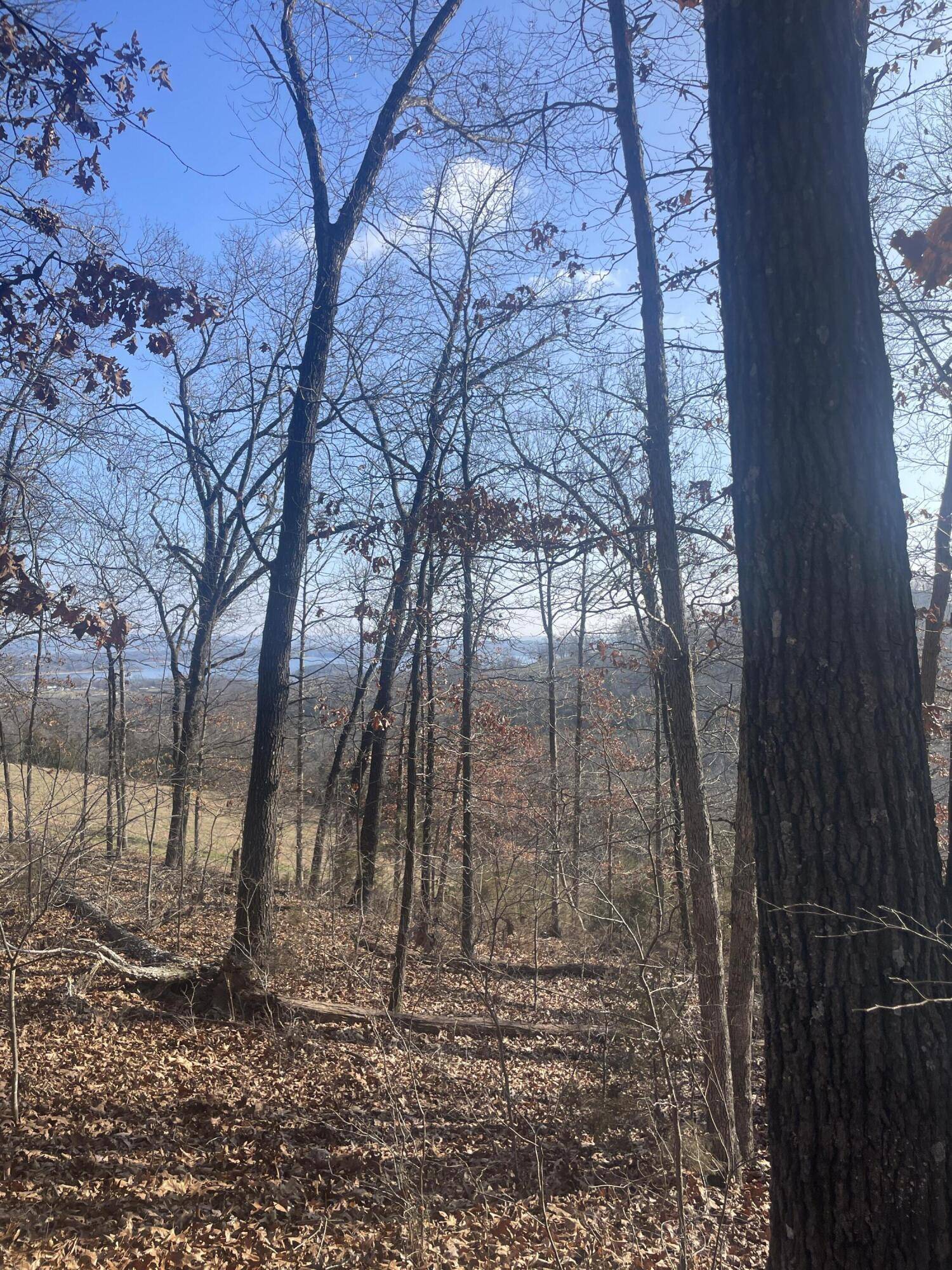 Branson West, MO 65737,Lot 9 Little Mountain Estates